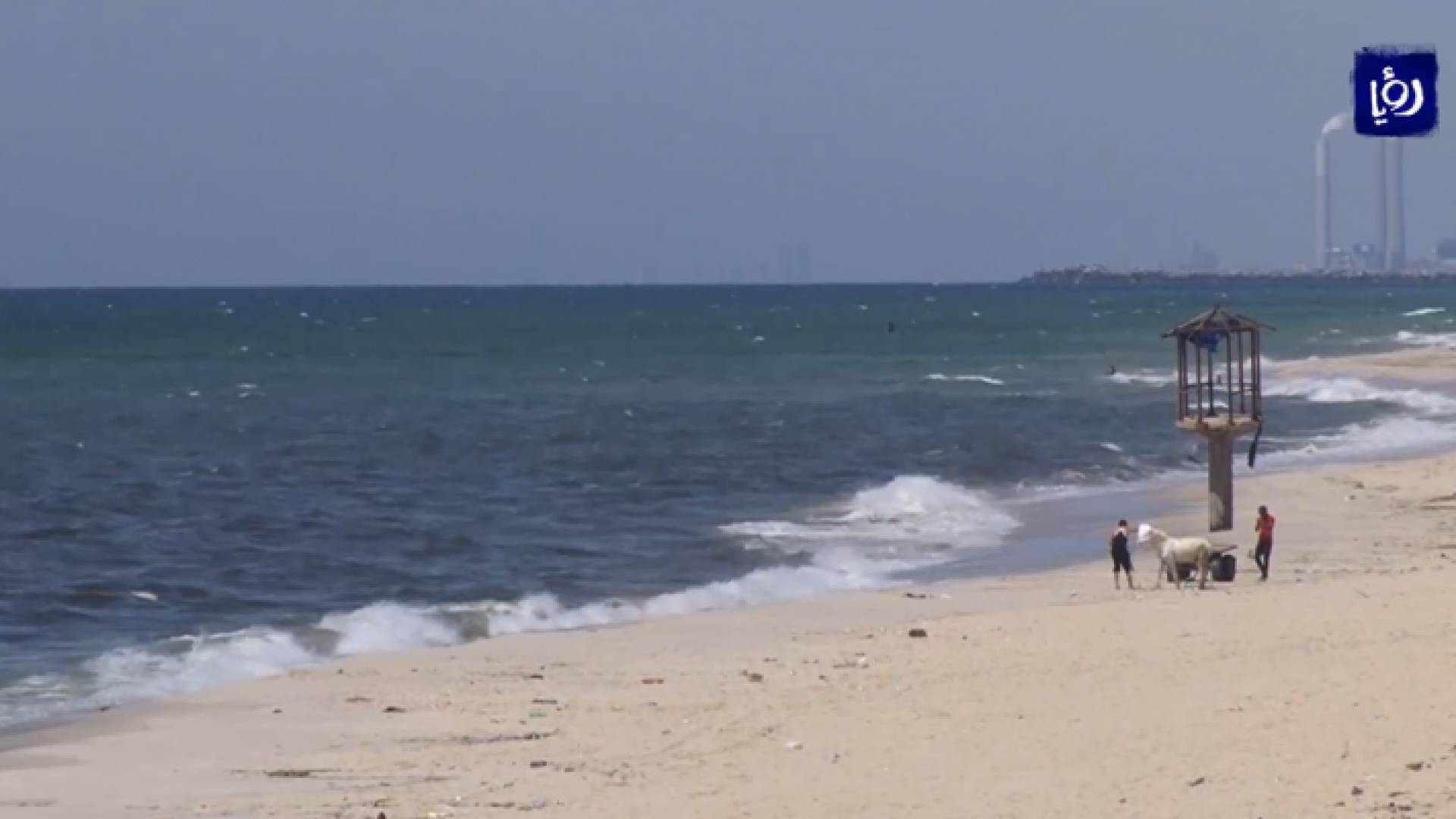 صورة من الفيديو