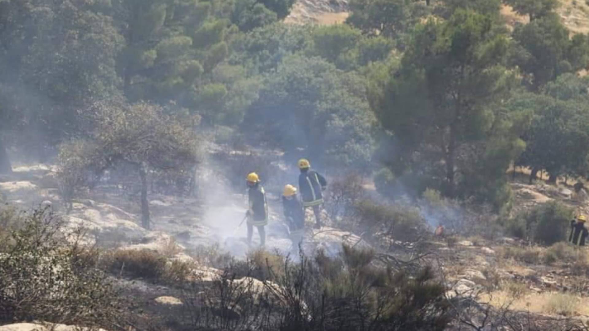 صورة من موقع الحريق