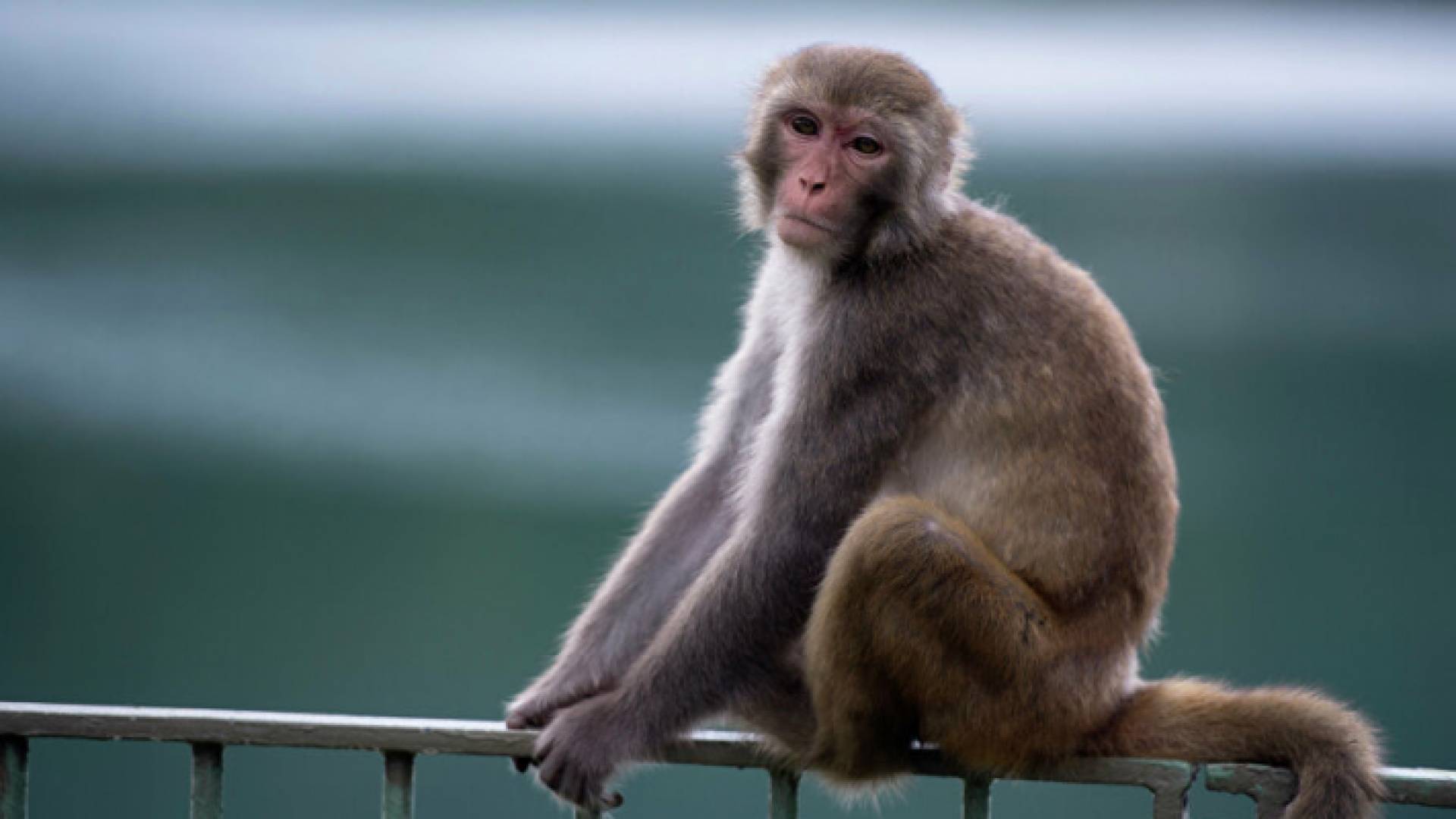 الصورة أرشيفية