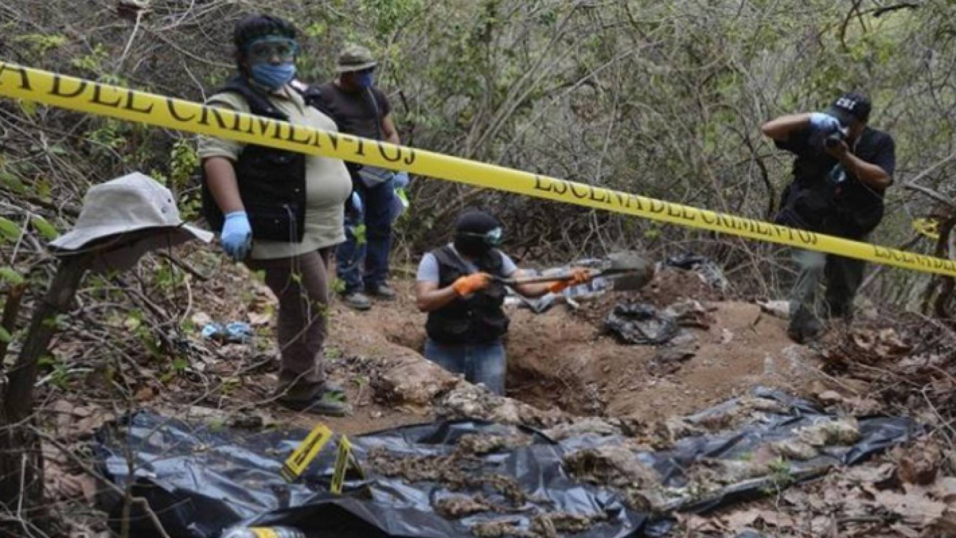 الصورة أرشيفية