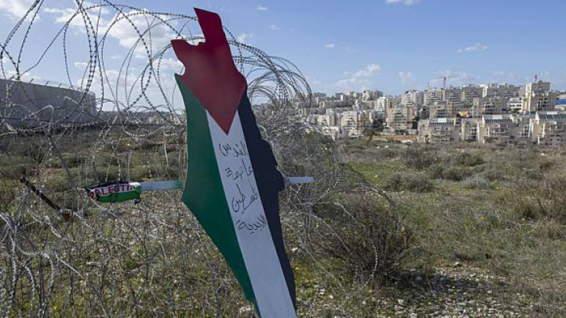 ثمن الصفدي الموقف الهولندي وموقف الاتحاد الأوروبي الرافضين للضم