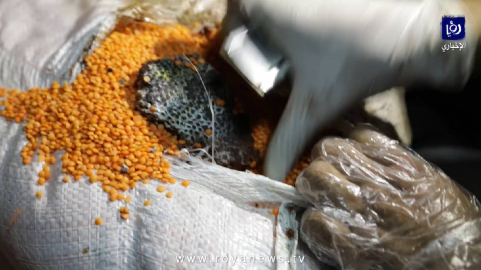 إتلاف كميات من المواد الغذائية واغلاق مستودعات خلال جولة رقابية في خريبة السوق