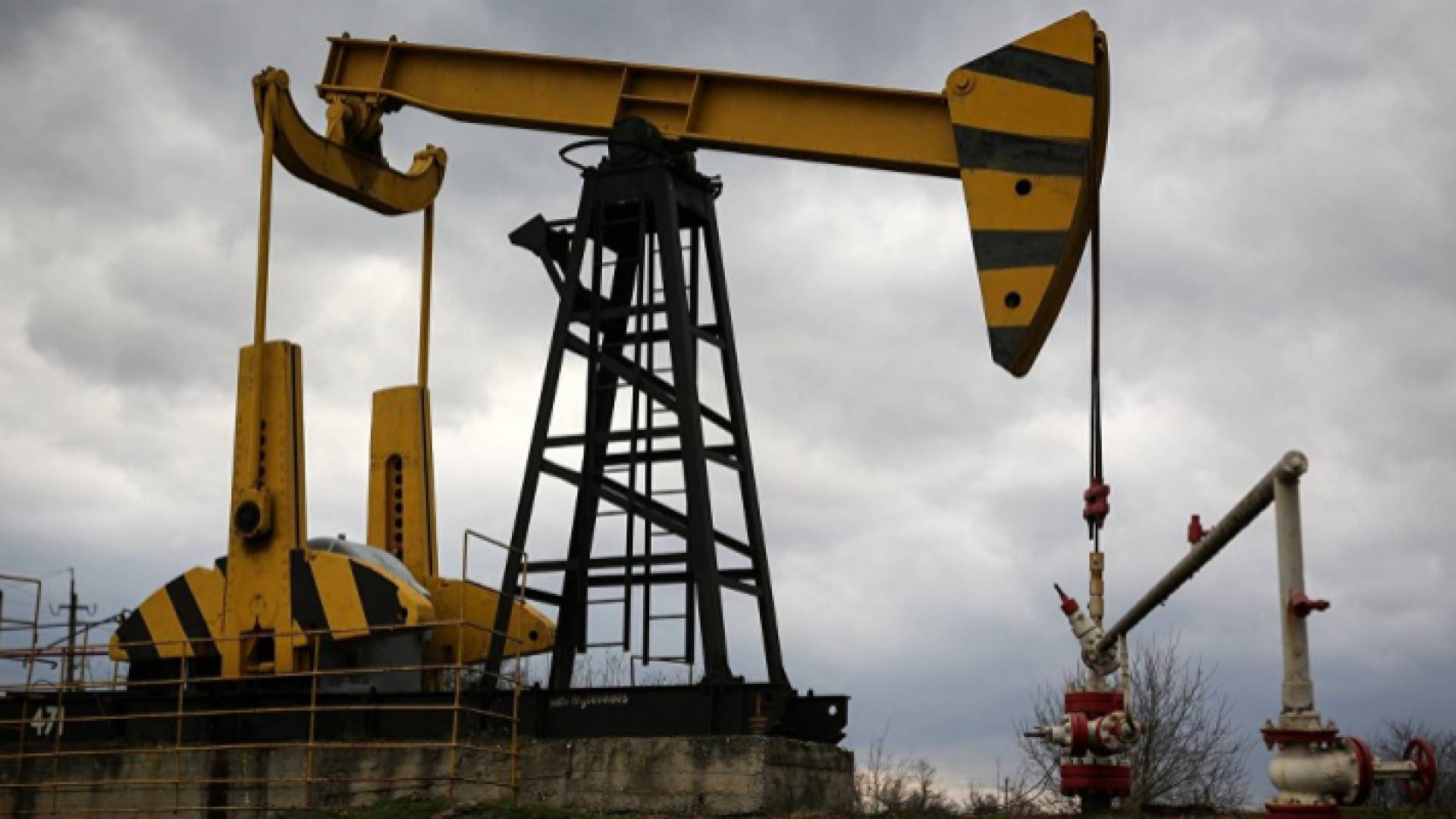 الصورة أرشيفية