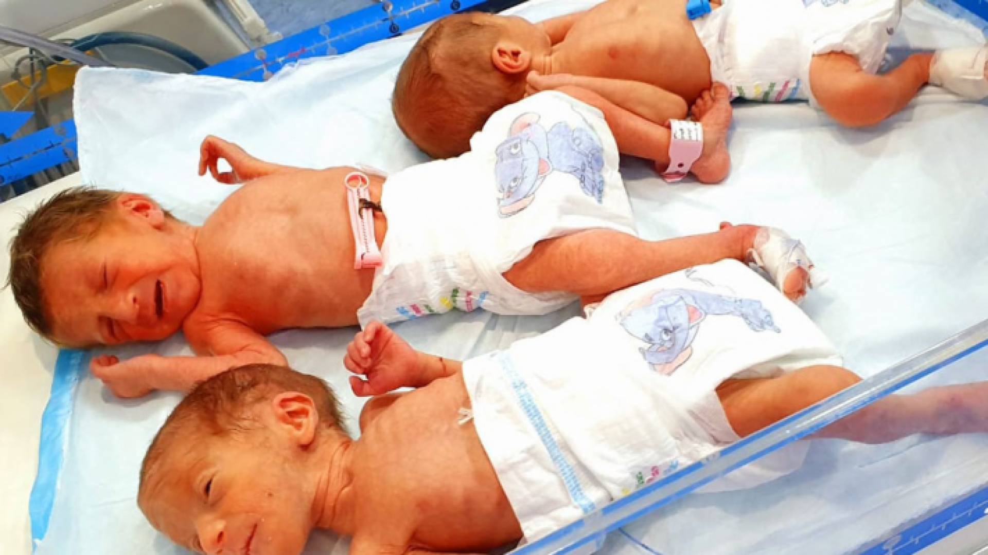 6 توائم بيوم واحد لسيدتين بمستشفى المقاصد في عمان