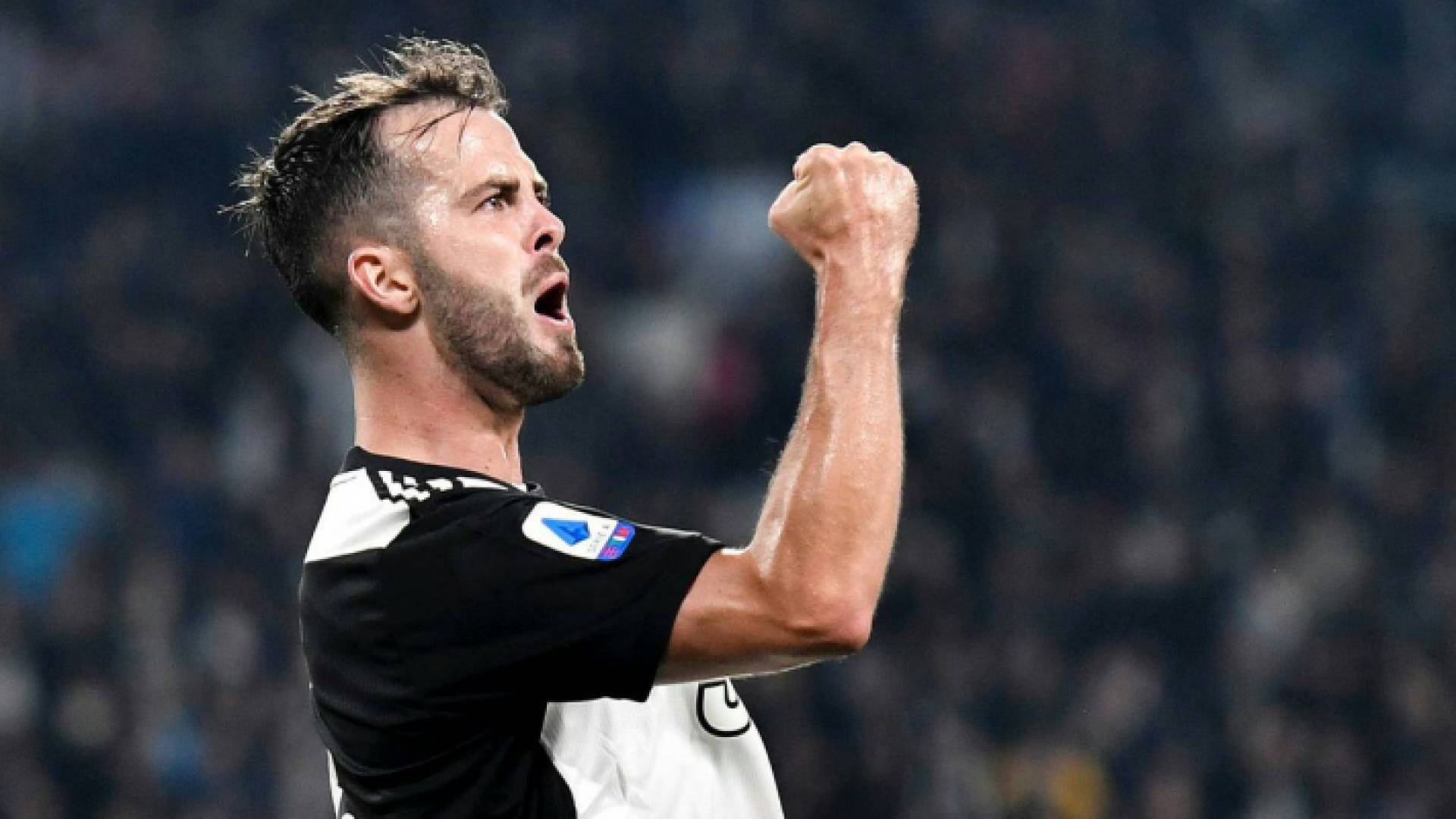 البوسني ميراليم بيانيتش