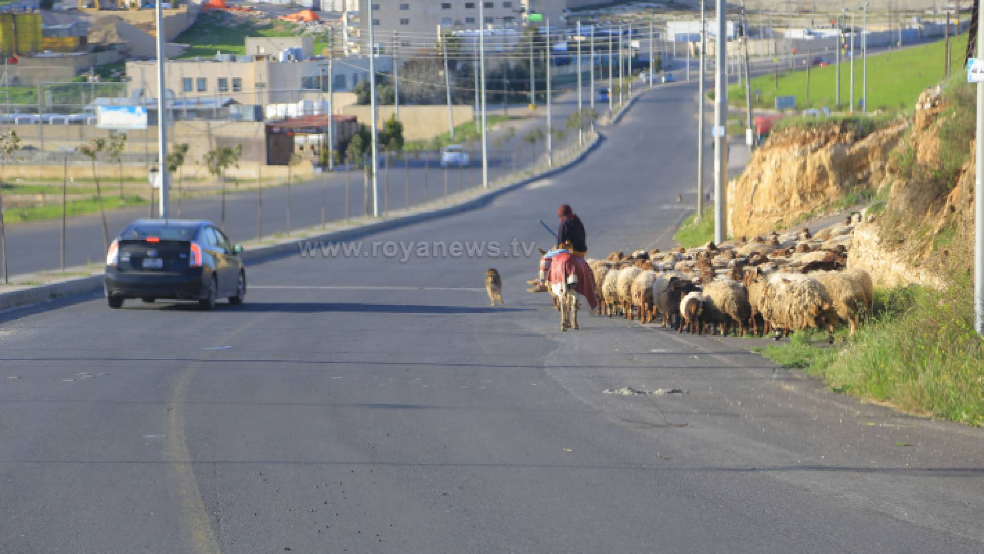ارشيفية
