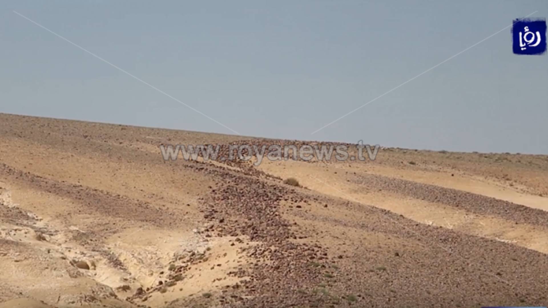 سور الأردن العظيم في معان.. سلسلة حجرية قادمة من عصر ما قبل الميلاد