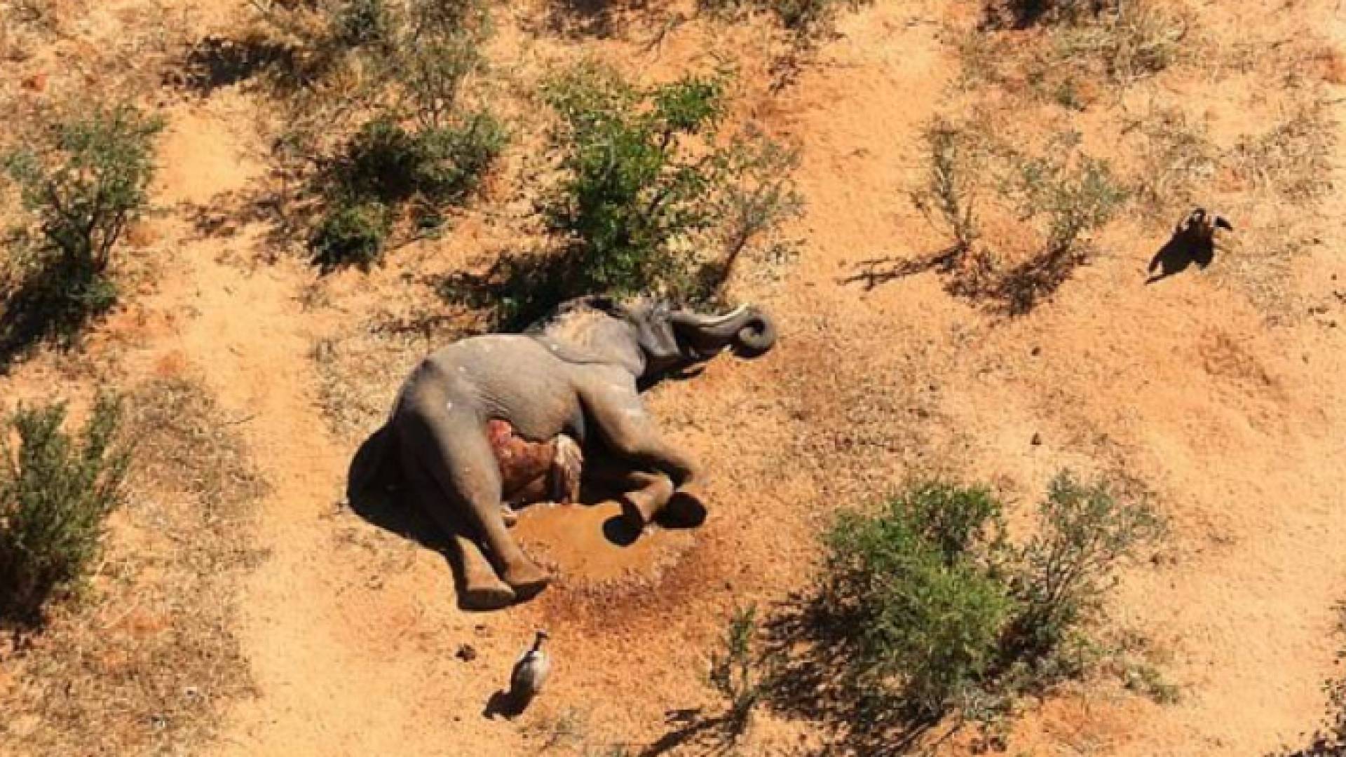 الصورة أرشيفية