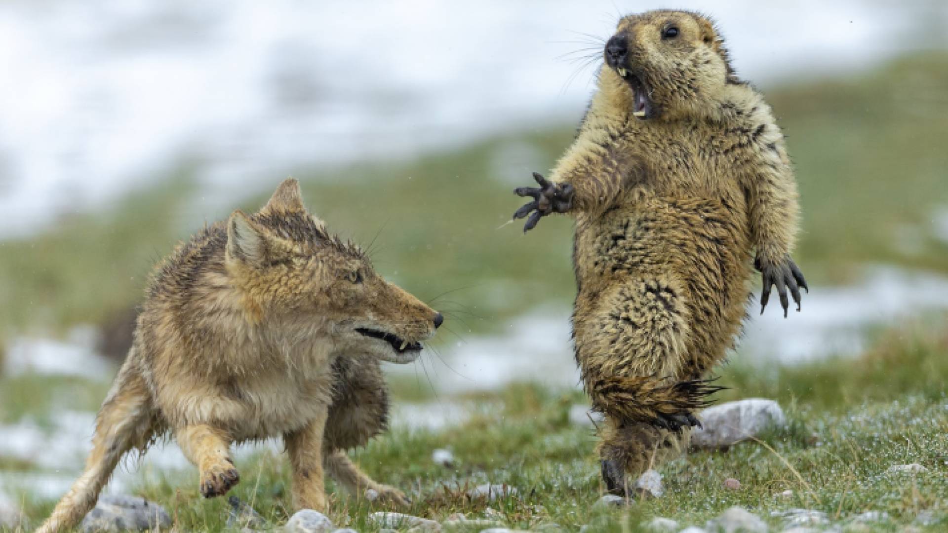 الصورة أرشيفية