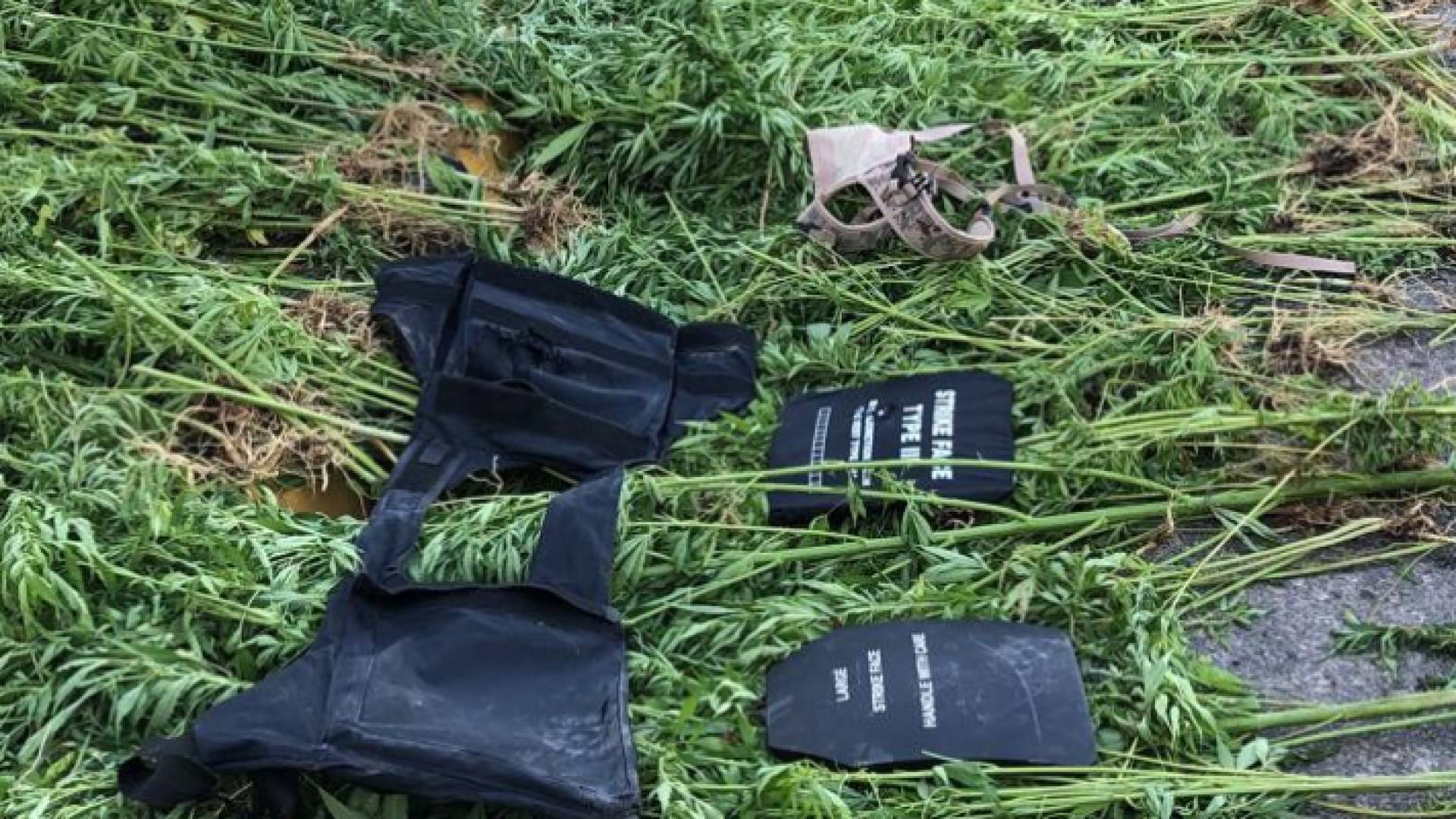 القبض على أربعة أشخاص مصنفين بالخطرين في البادية الوسطى