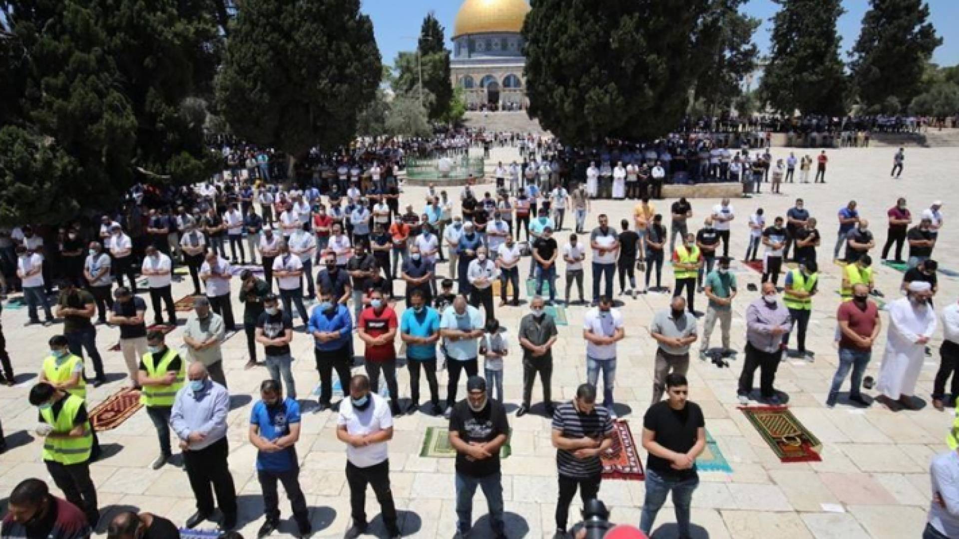 الصورة أرشيفية