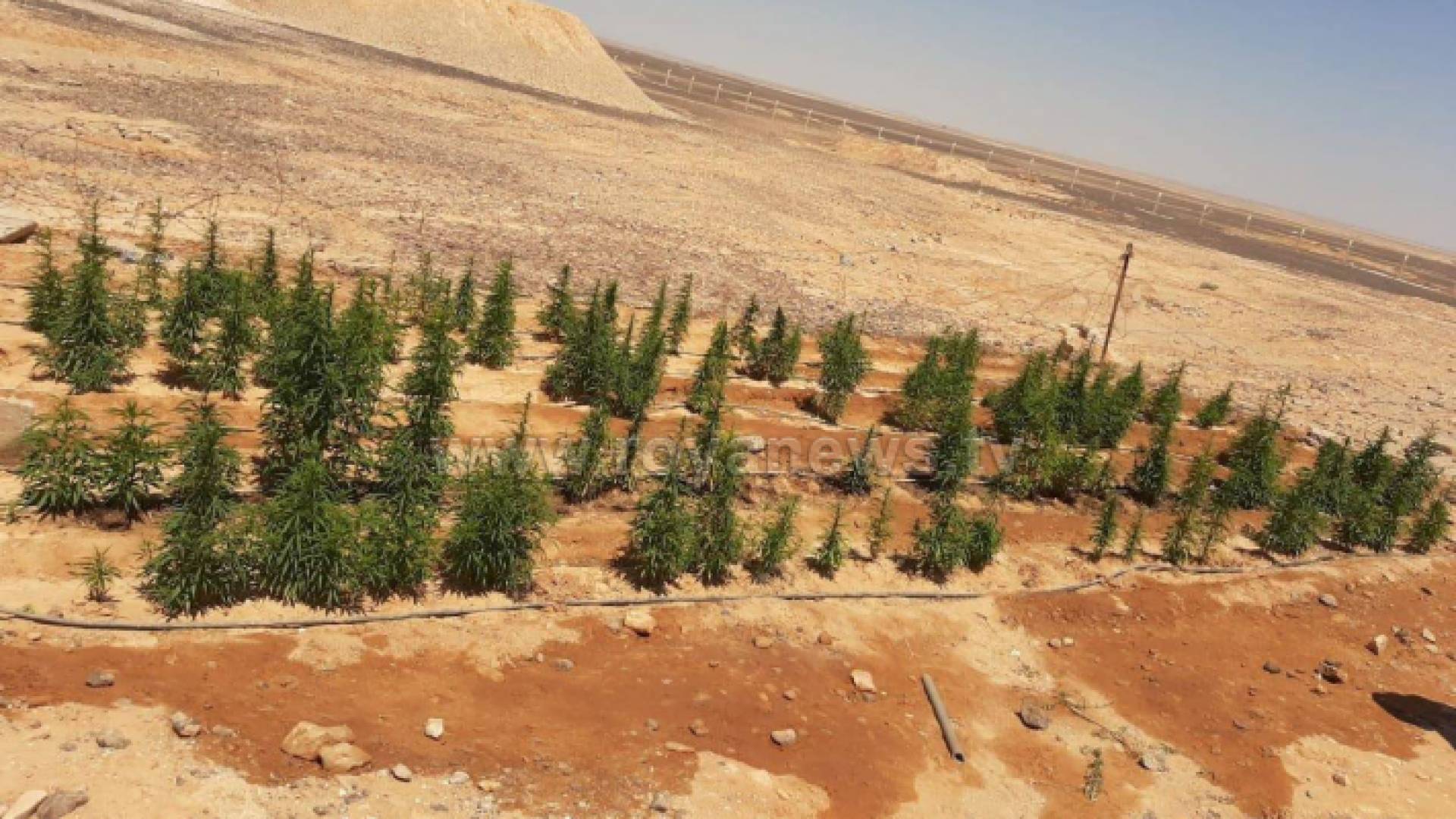 من موقع المداهمة