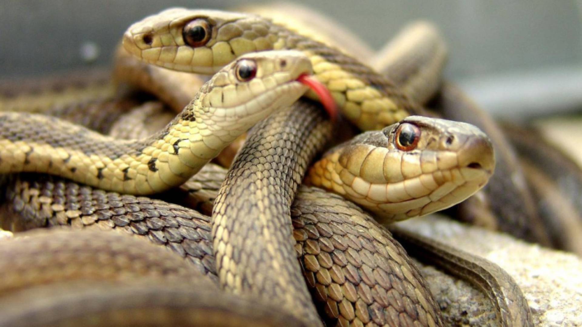 الصورة ارشيفية