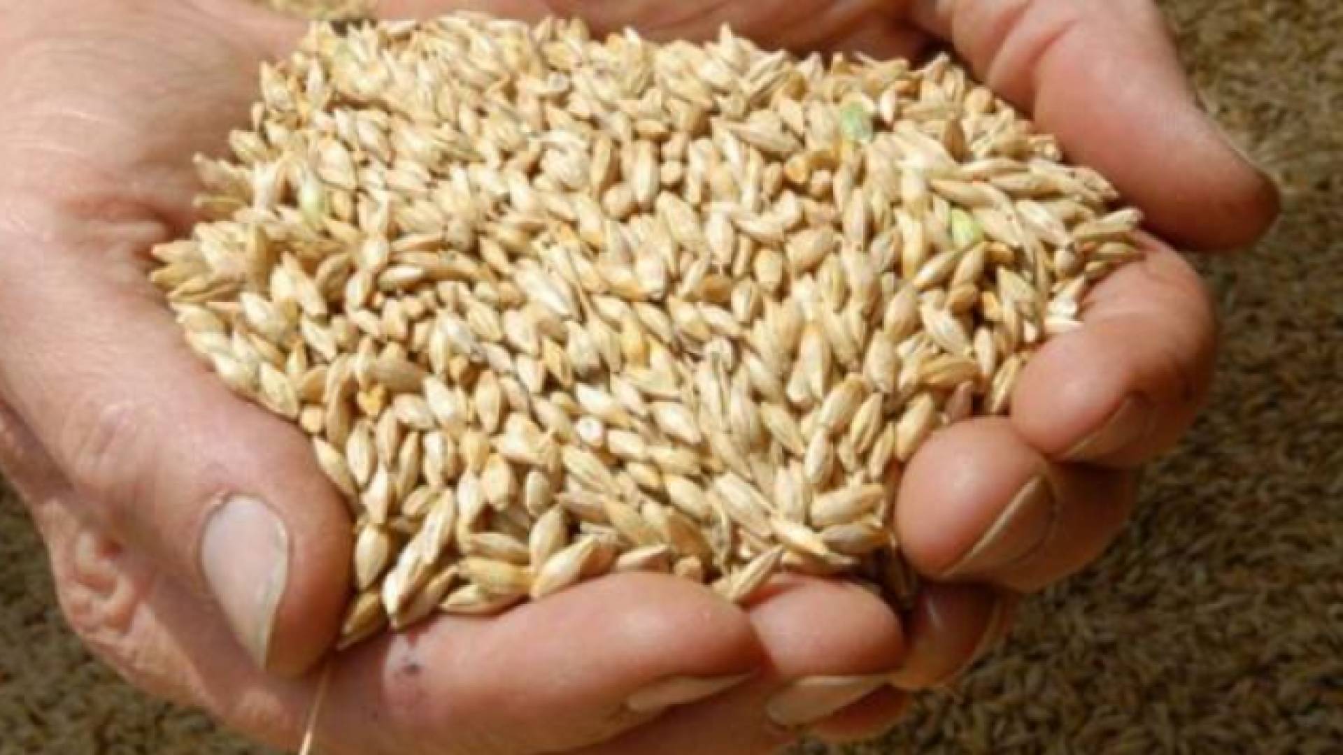 الصورة أرشيفية