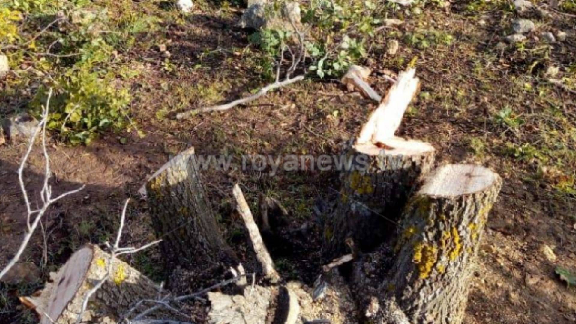 الصورة أرشيفية