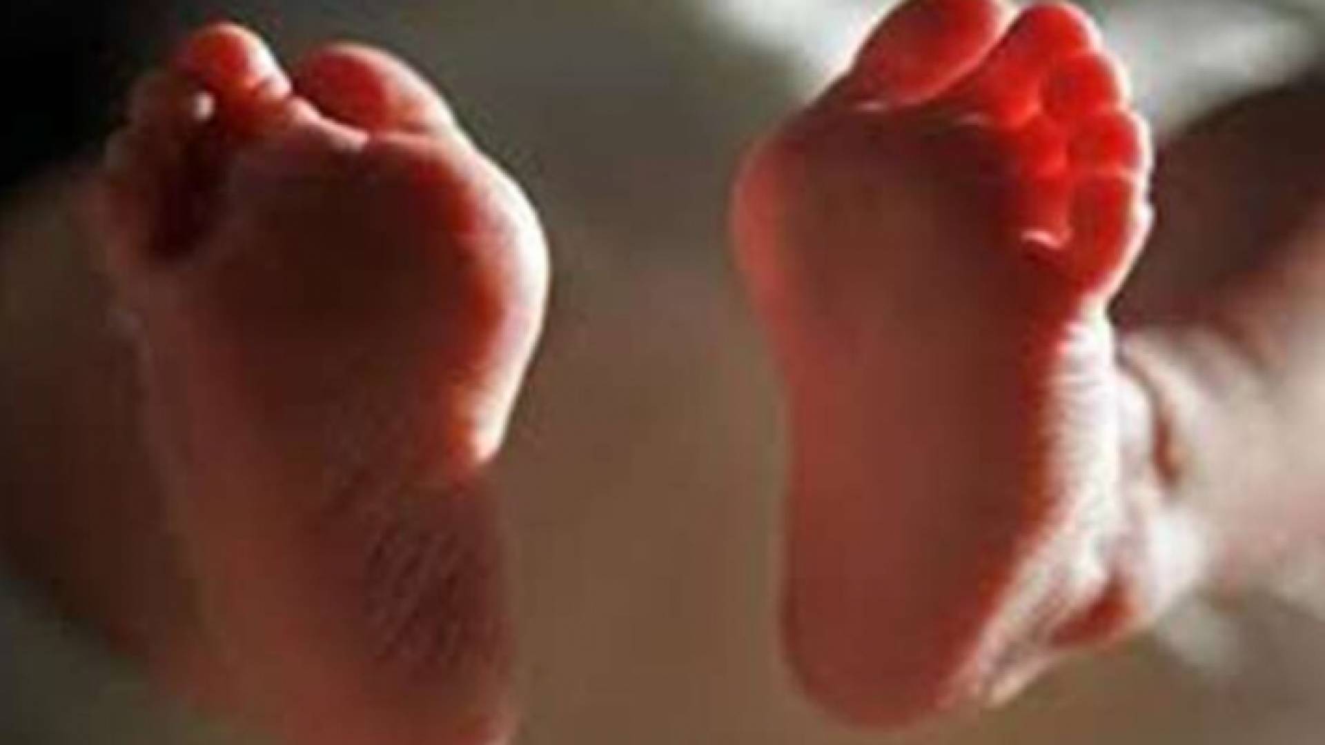 الأب يرفض انجاب الاناث