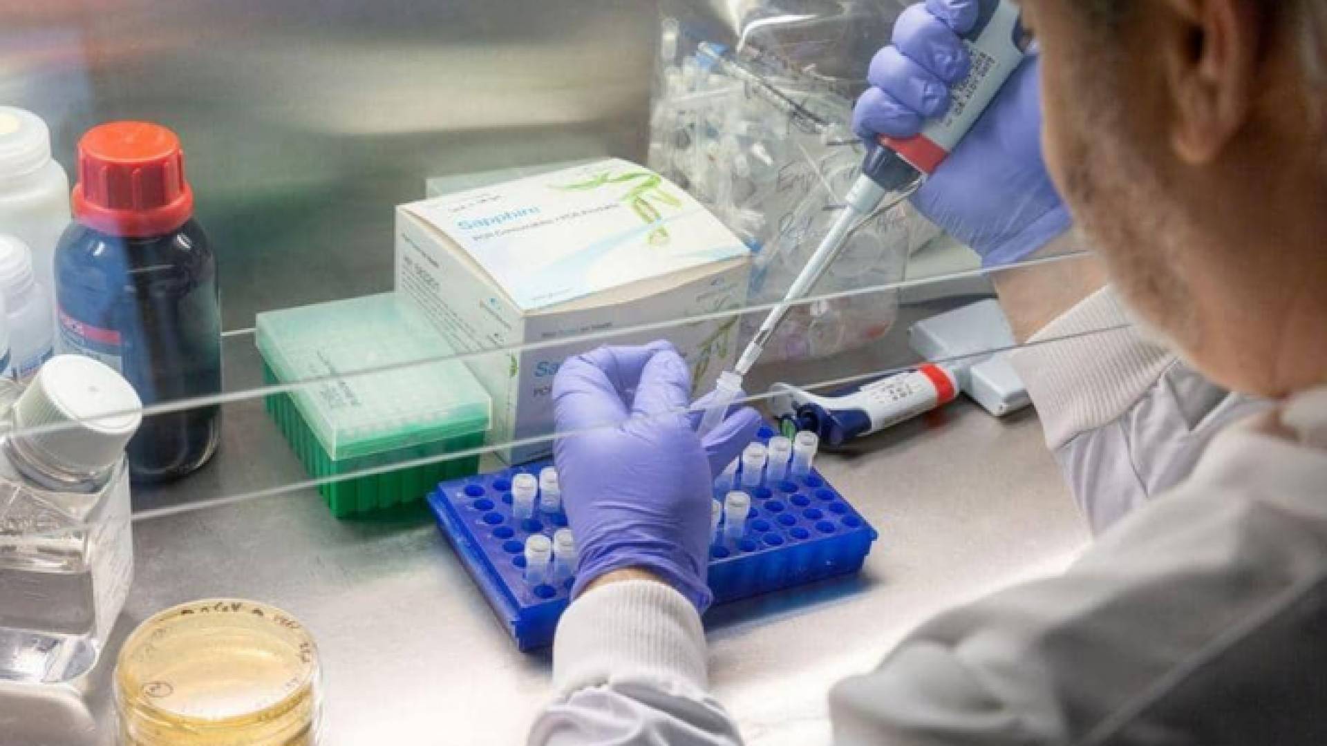 منظمة الصحة العالمية تعلنها: لا لقاح لكورونا قبل 2021