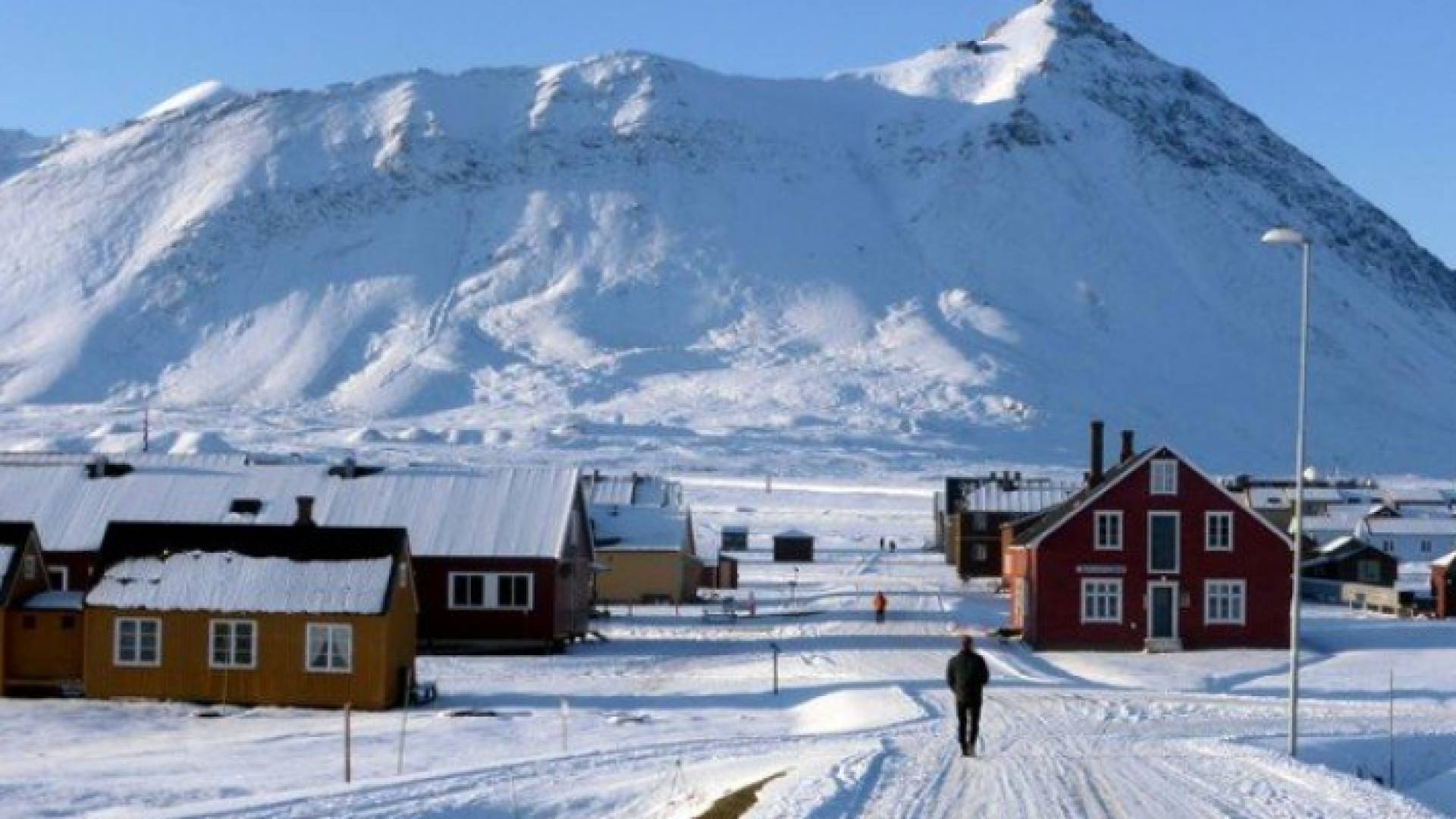 القطب الشمالي