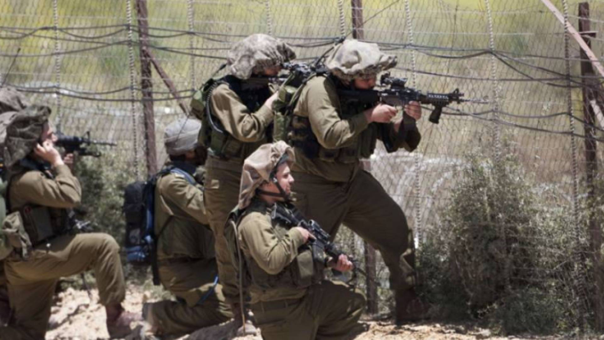 الصورة أرشيفية