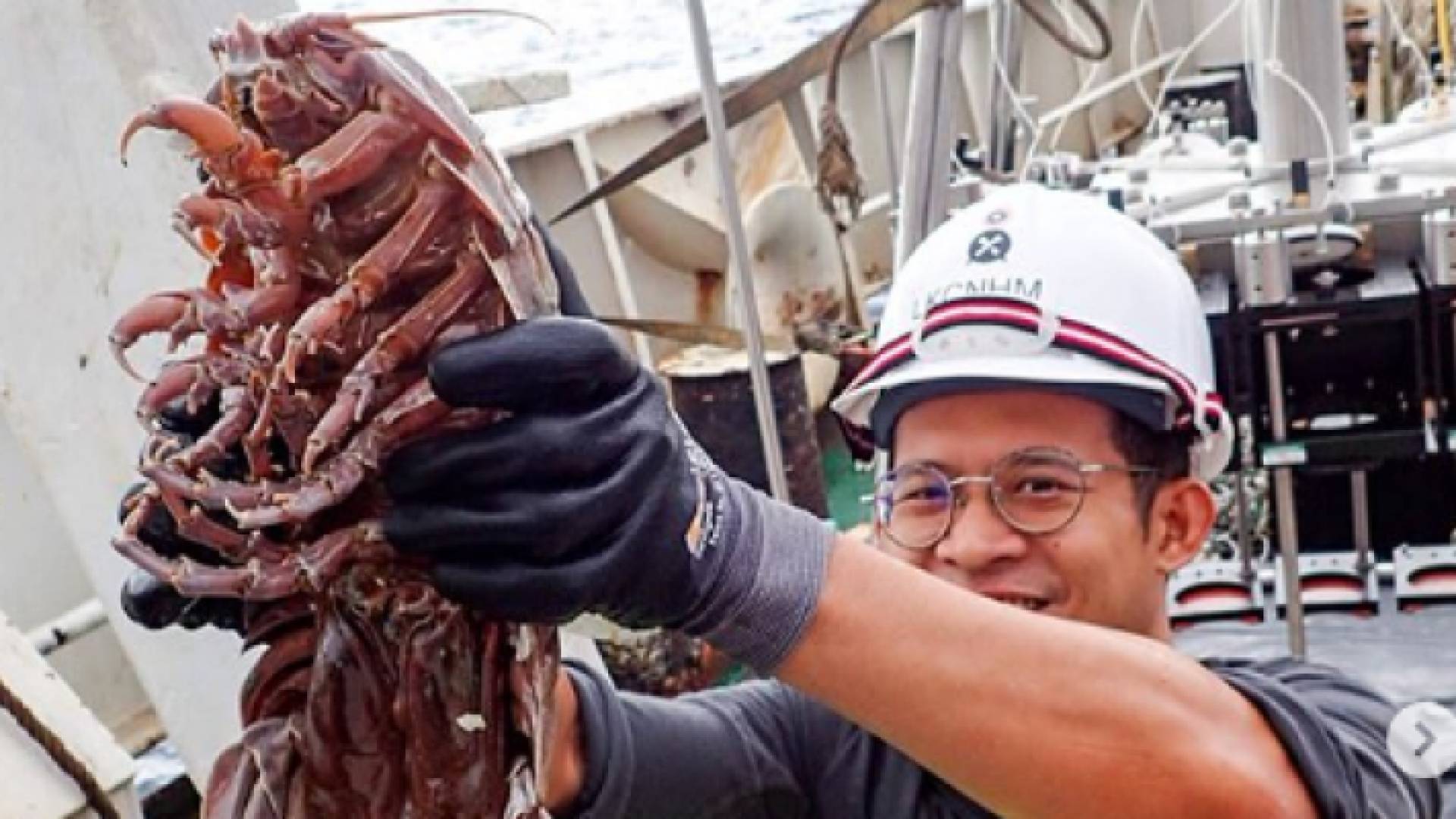 اكتشاف صرصار عملاق وفريد في أعماق البحر في إندونيسيا