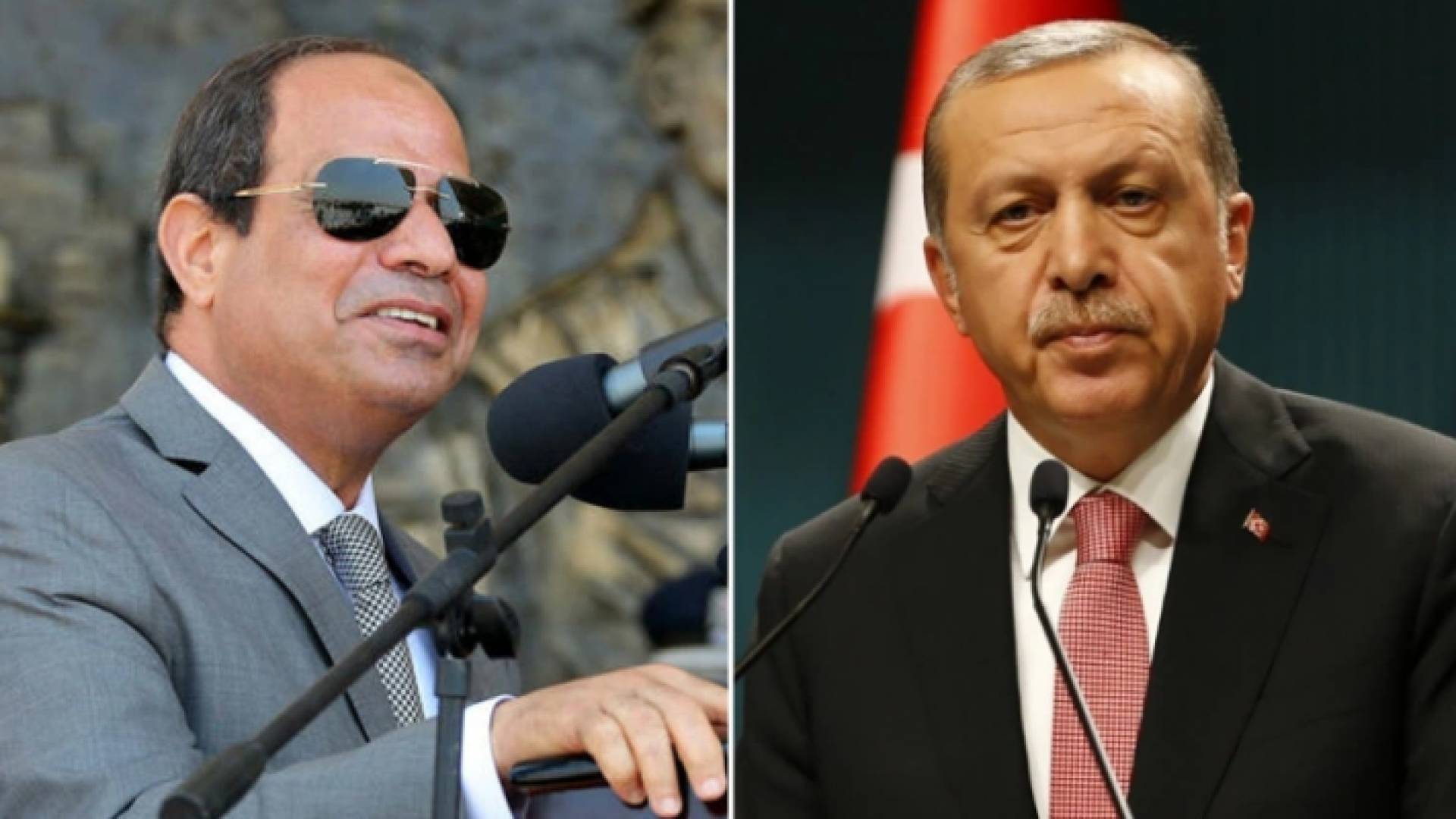 أردوغان والسيسي - ارشيفية