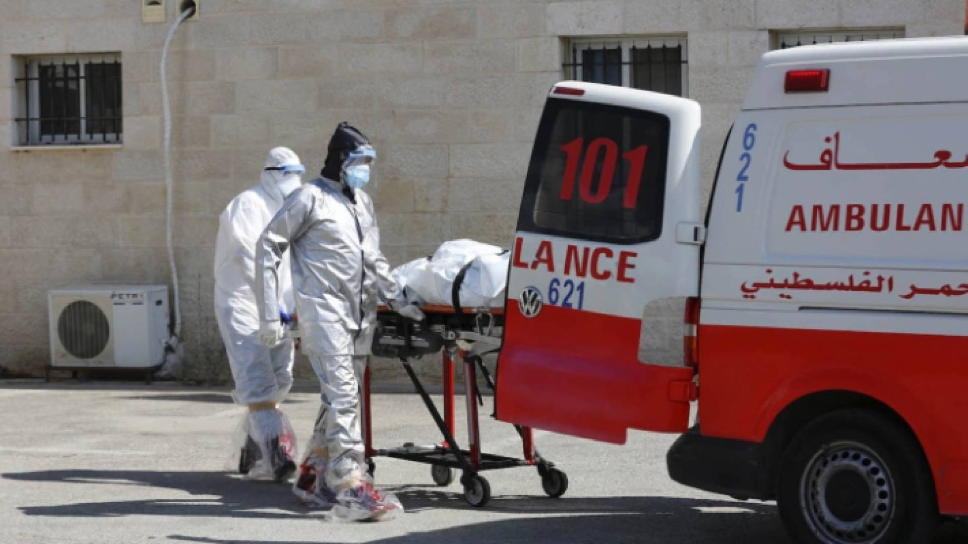 تسجيل 74 حالة تعاف خلال الـ24 ساعة الأخيرة