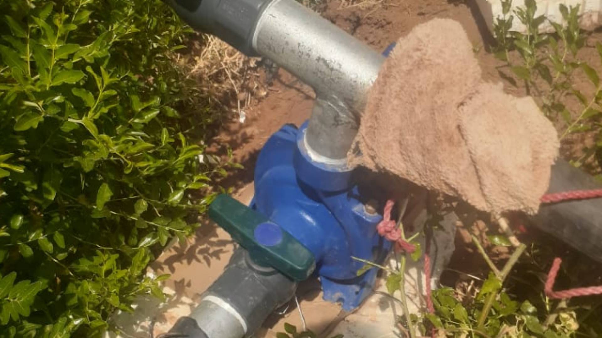 جانب من المضبوطات