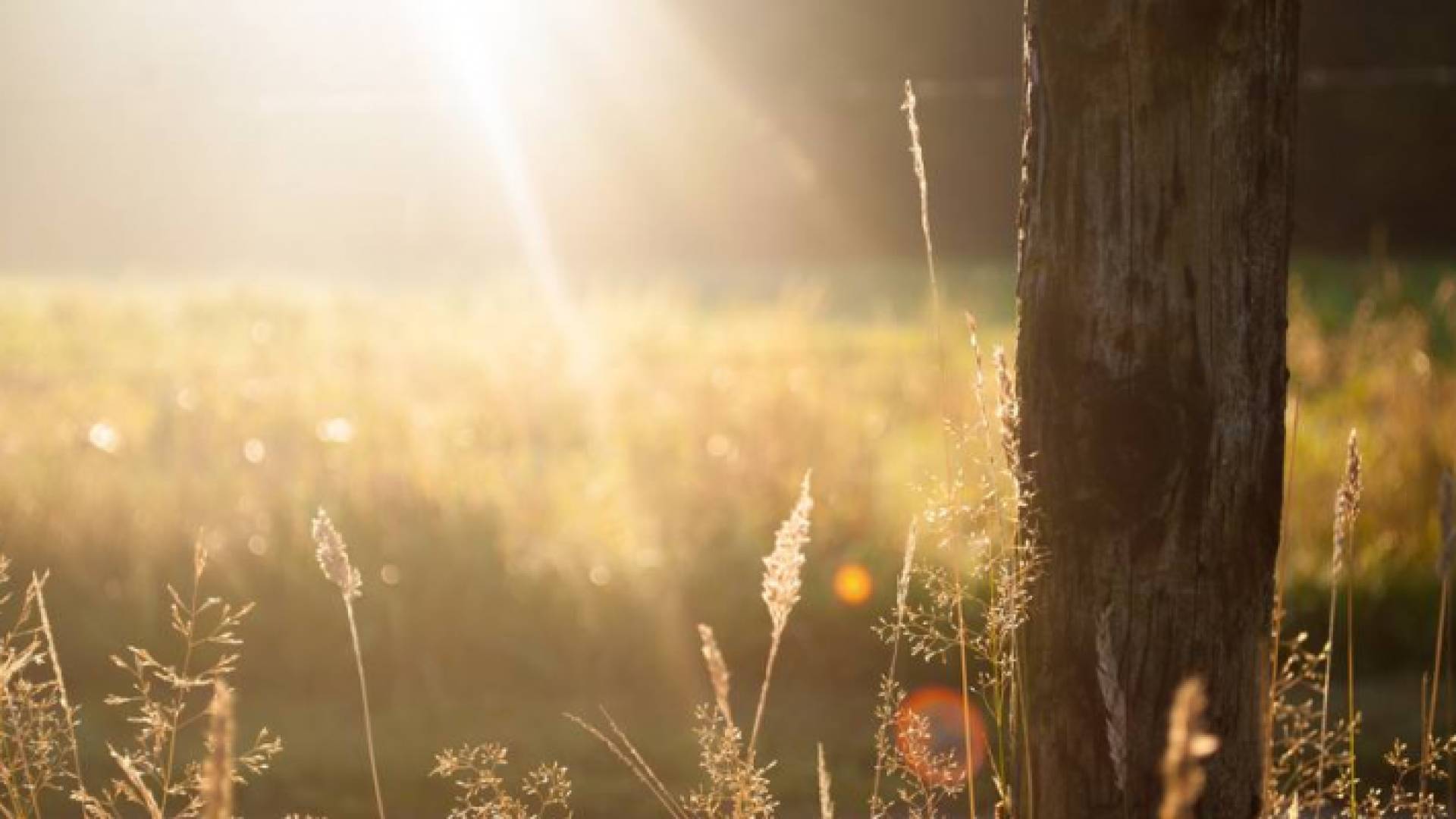 يكون الطقس حارا نسبيا في مختلف المناطق ليلا
