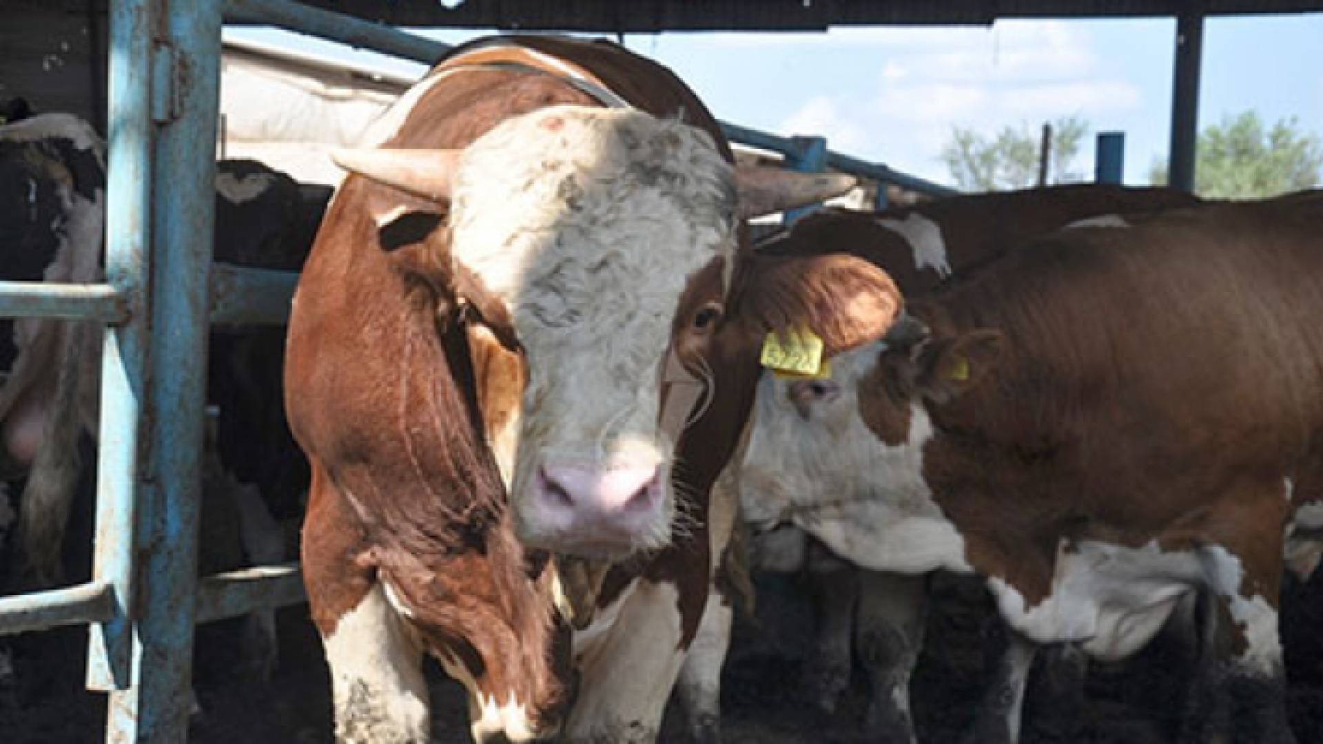 الصورة أرشيفية