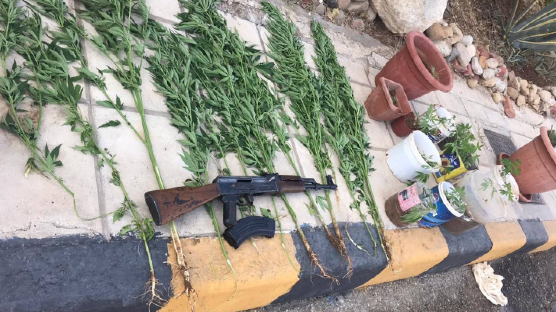 من المضبوطات