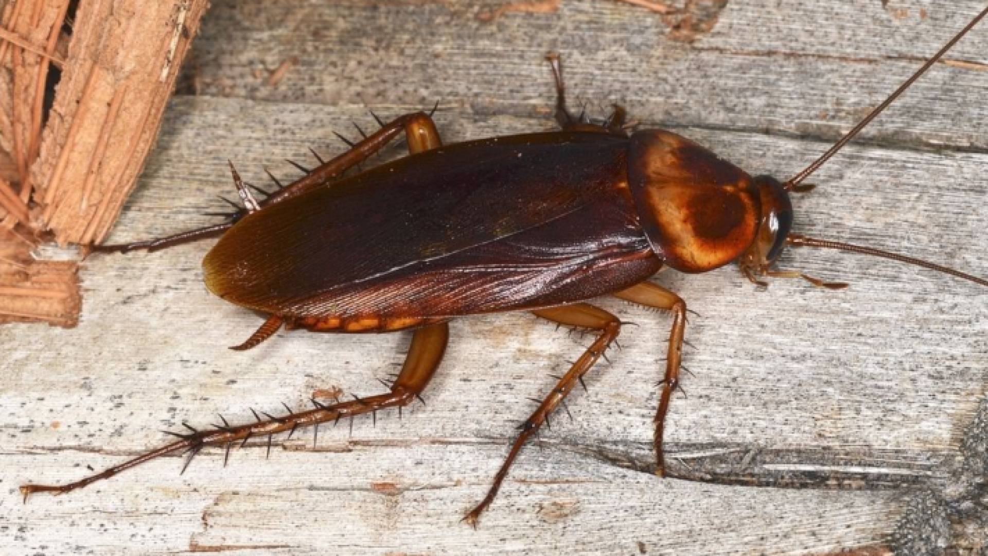 الصورة أرشيفية