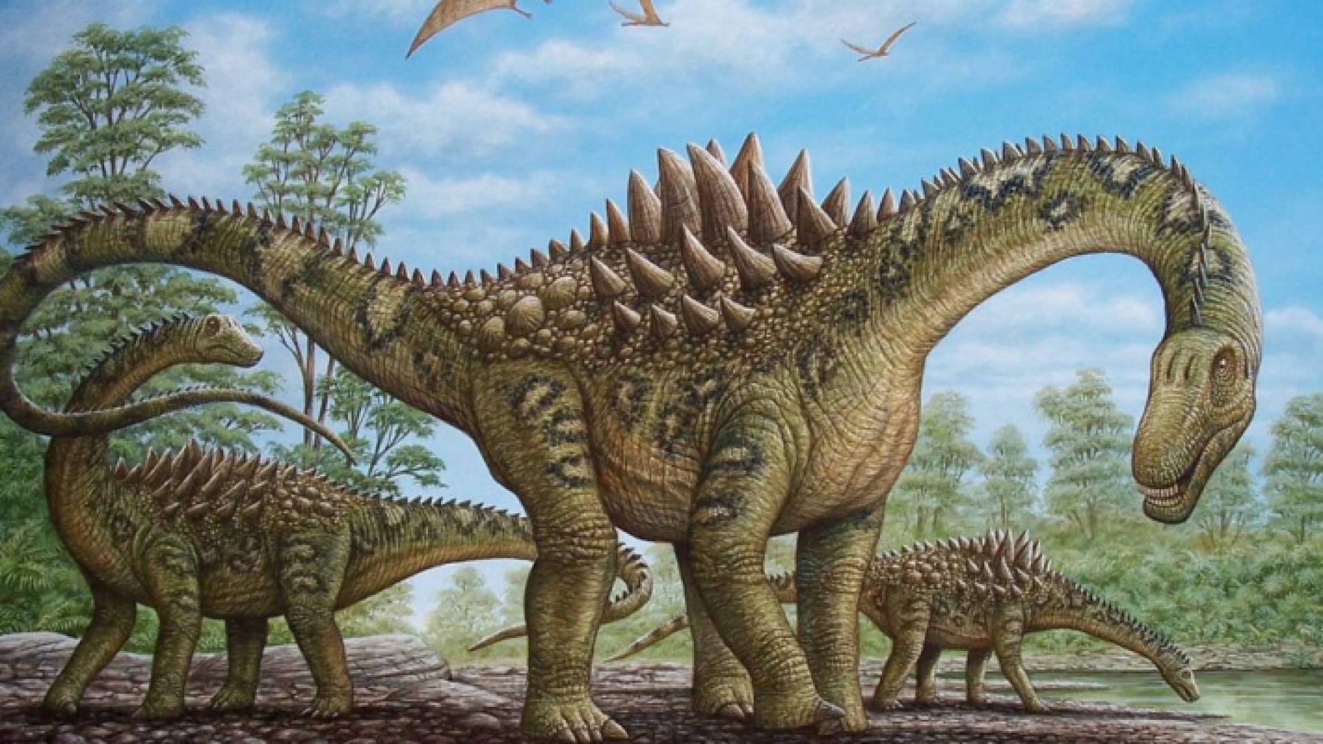 الصورة أرشيفية