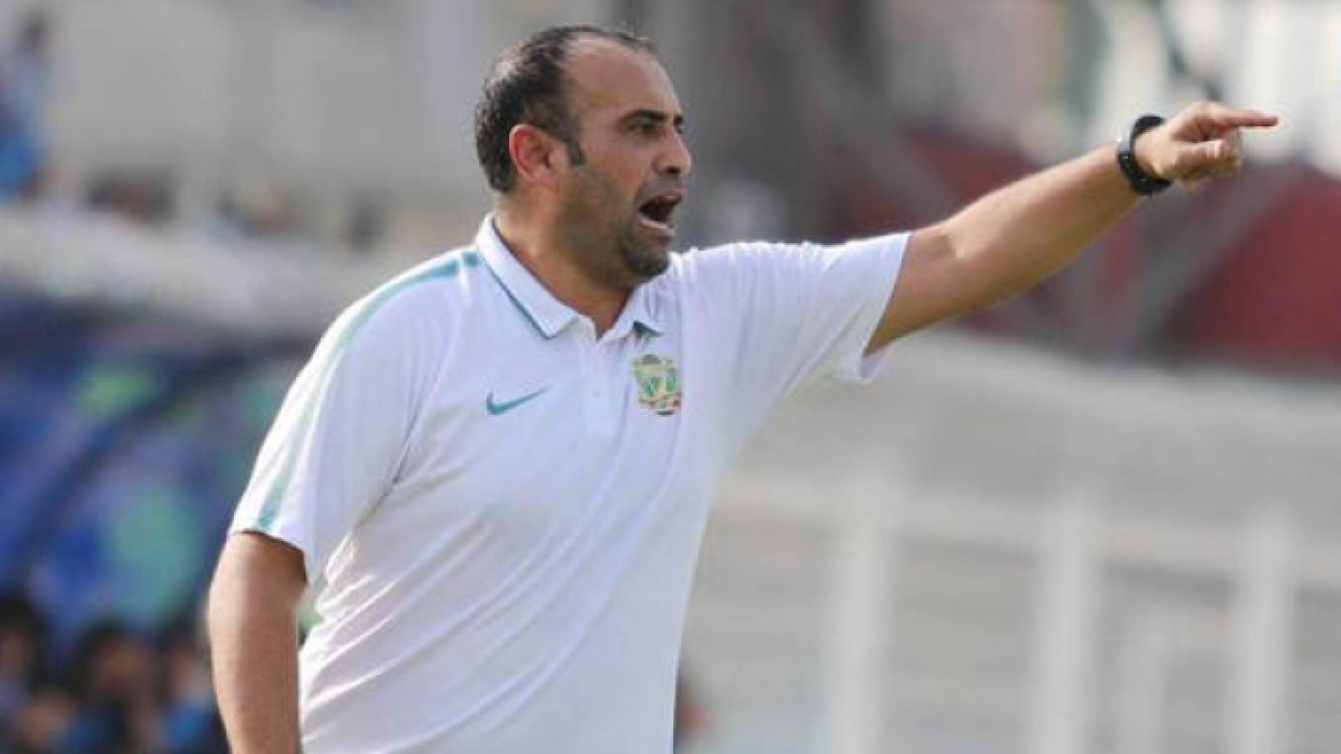 هيثم الشبول