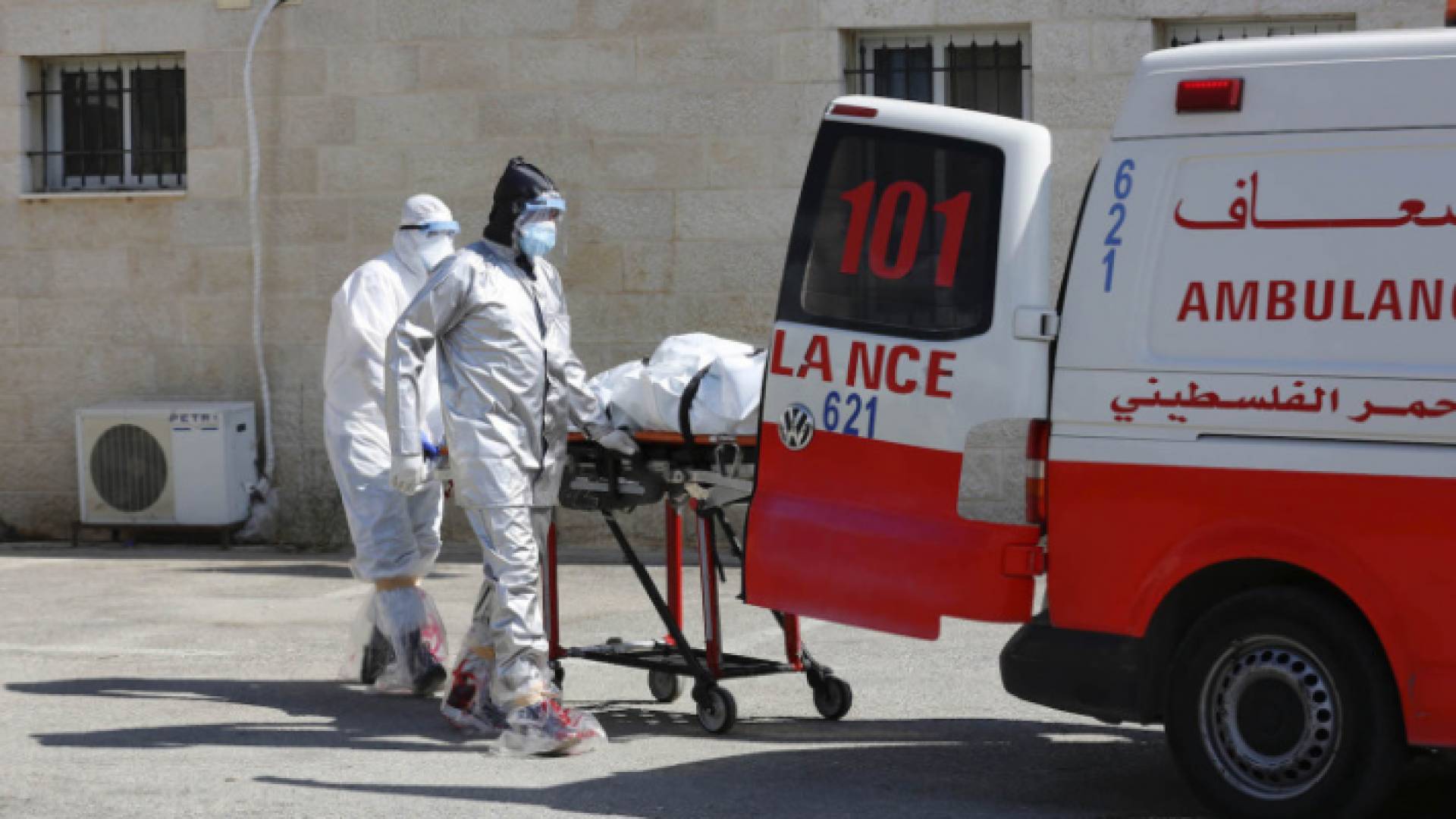 522 حالة تعاف خلال الـ24 ساعة الأخيرة