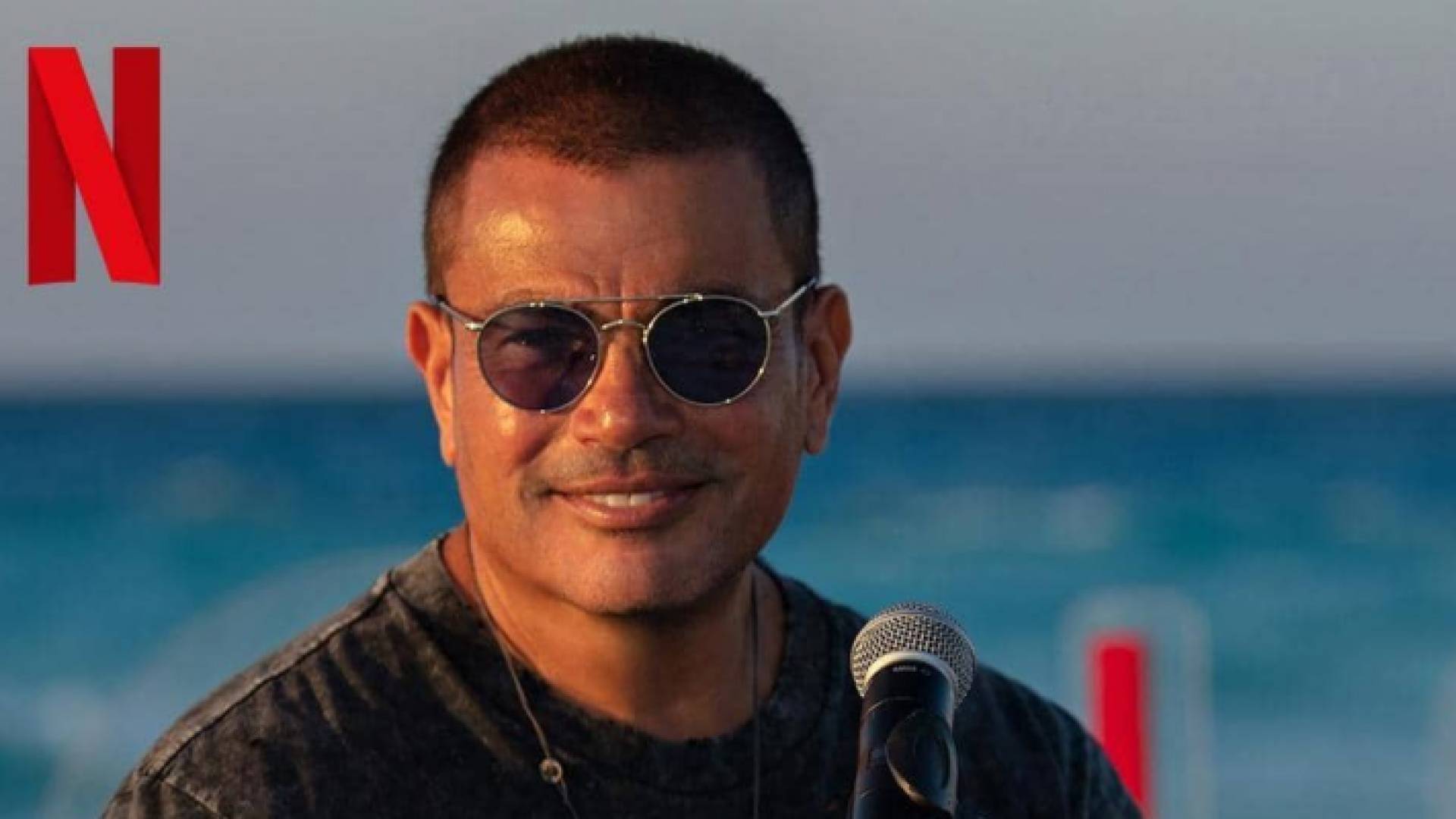 آخر ظهور لدياب في دور تمثيلي كان عام 1993