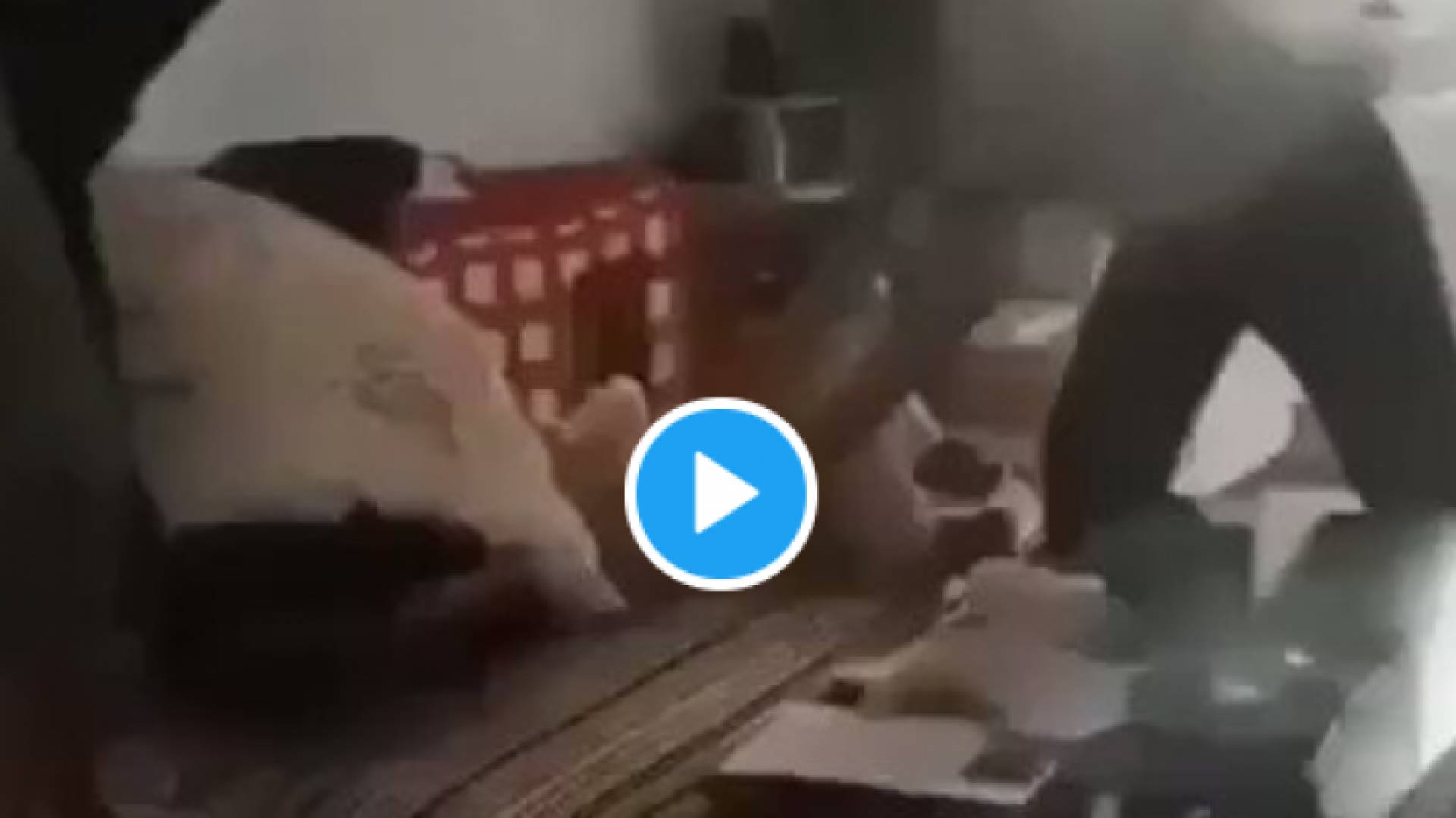 الصورة من الفيديو