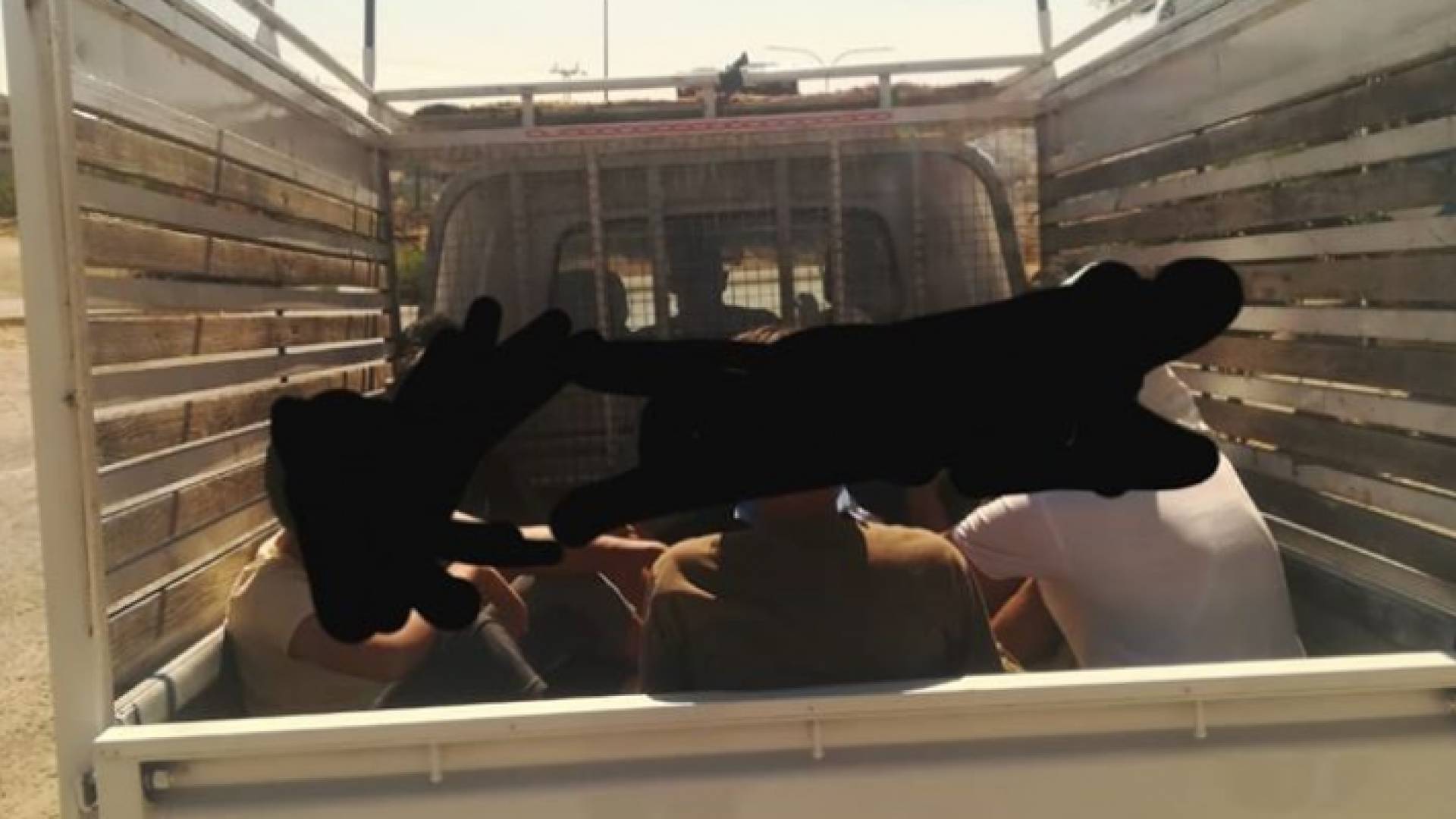 الديانا المضبوطة