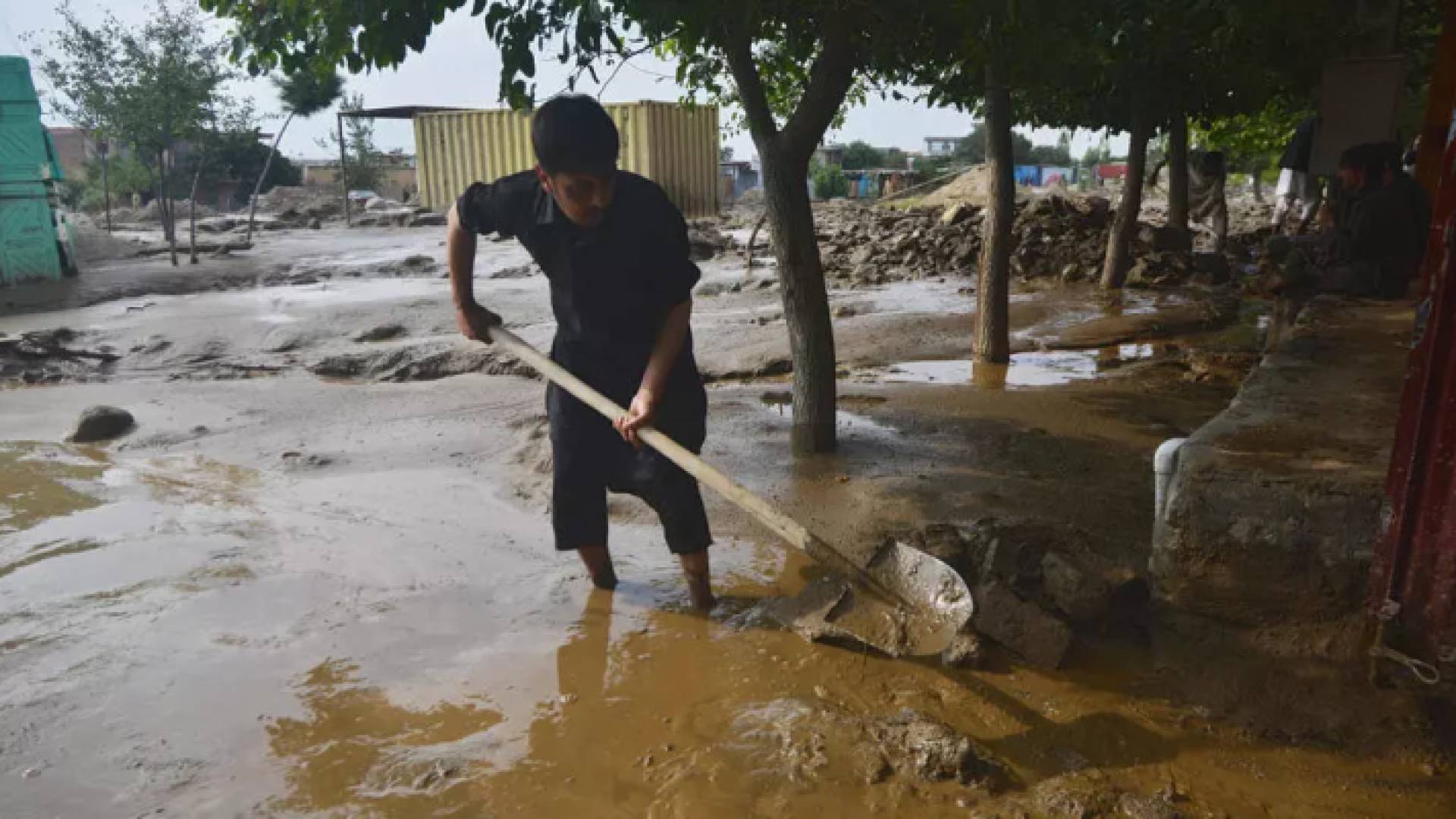 قروي يزيل الوحول في شاريكار في ولاية بروان