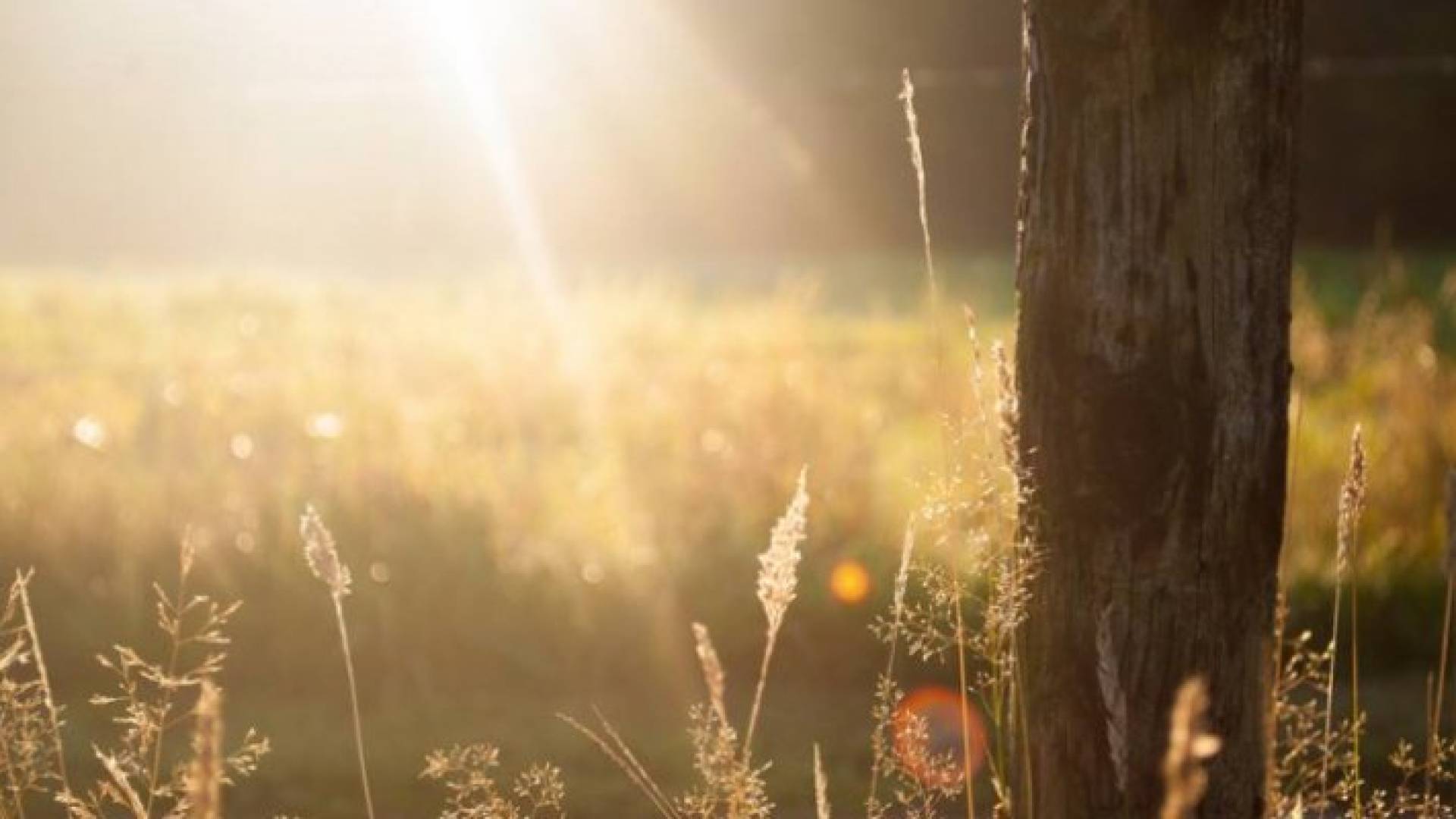الحرارة ستفوق الـ 40 درجة مئوية