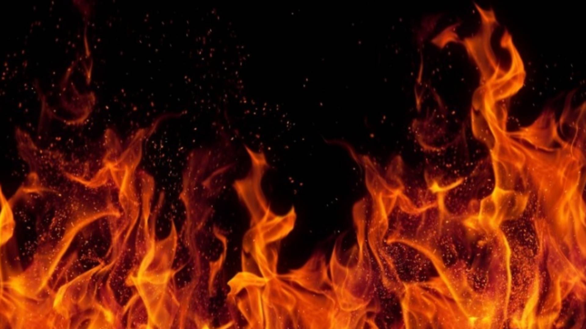 الصورة أرشيفية