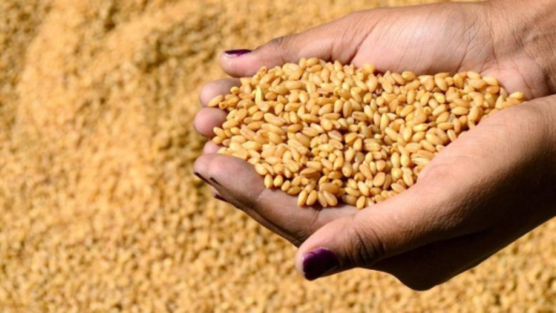 الصورة أرشيفية