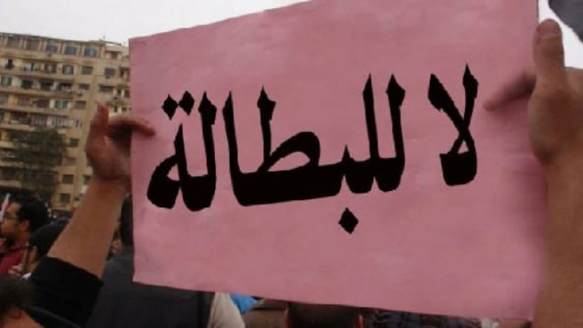 هل يستوعب سوق العمل الأردني تشغيل 43 ألف مهندسة؟ أم أنهن يعانين من البطالة؟