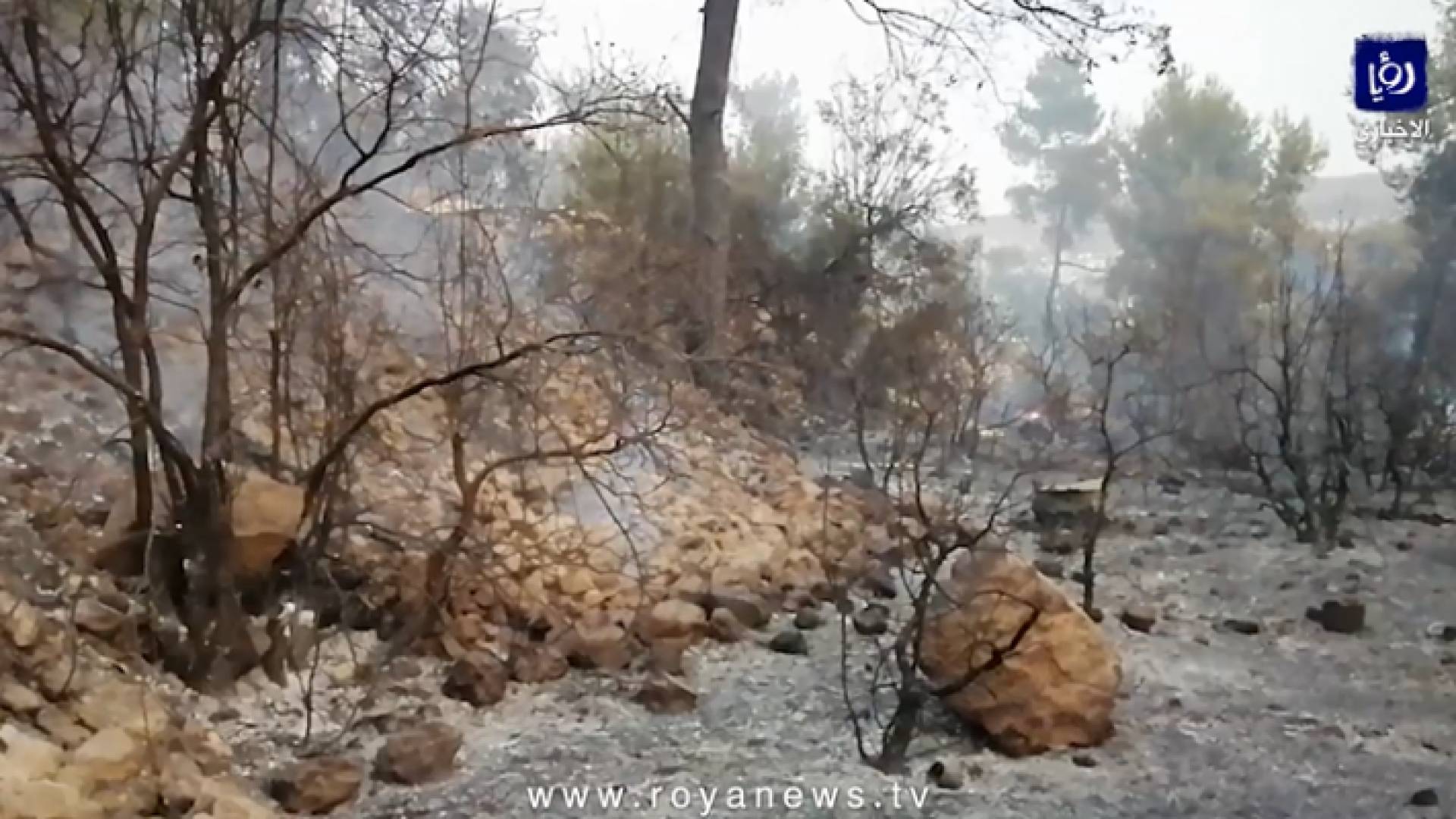 صورة من الفيديو