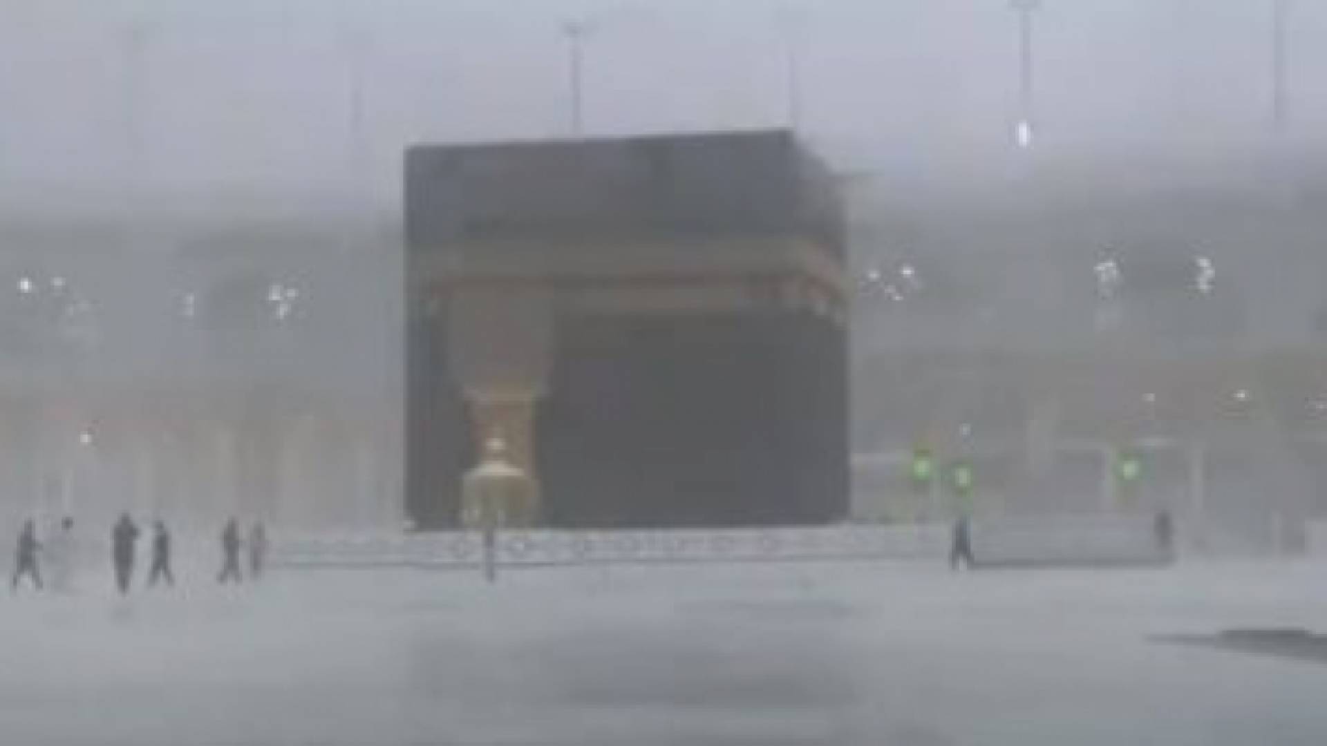 صورة من الفيديو