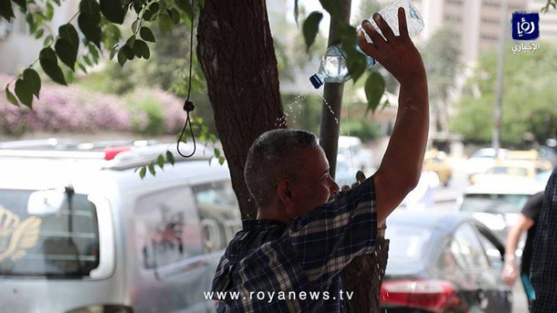 درجات الحرارة التي شهدتها المملكة الخميس والجمعة، ستستمر خلال اليومين المقبلين