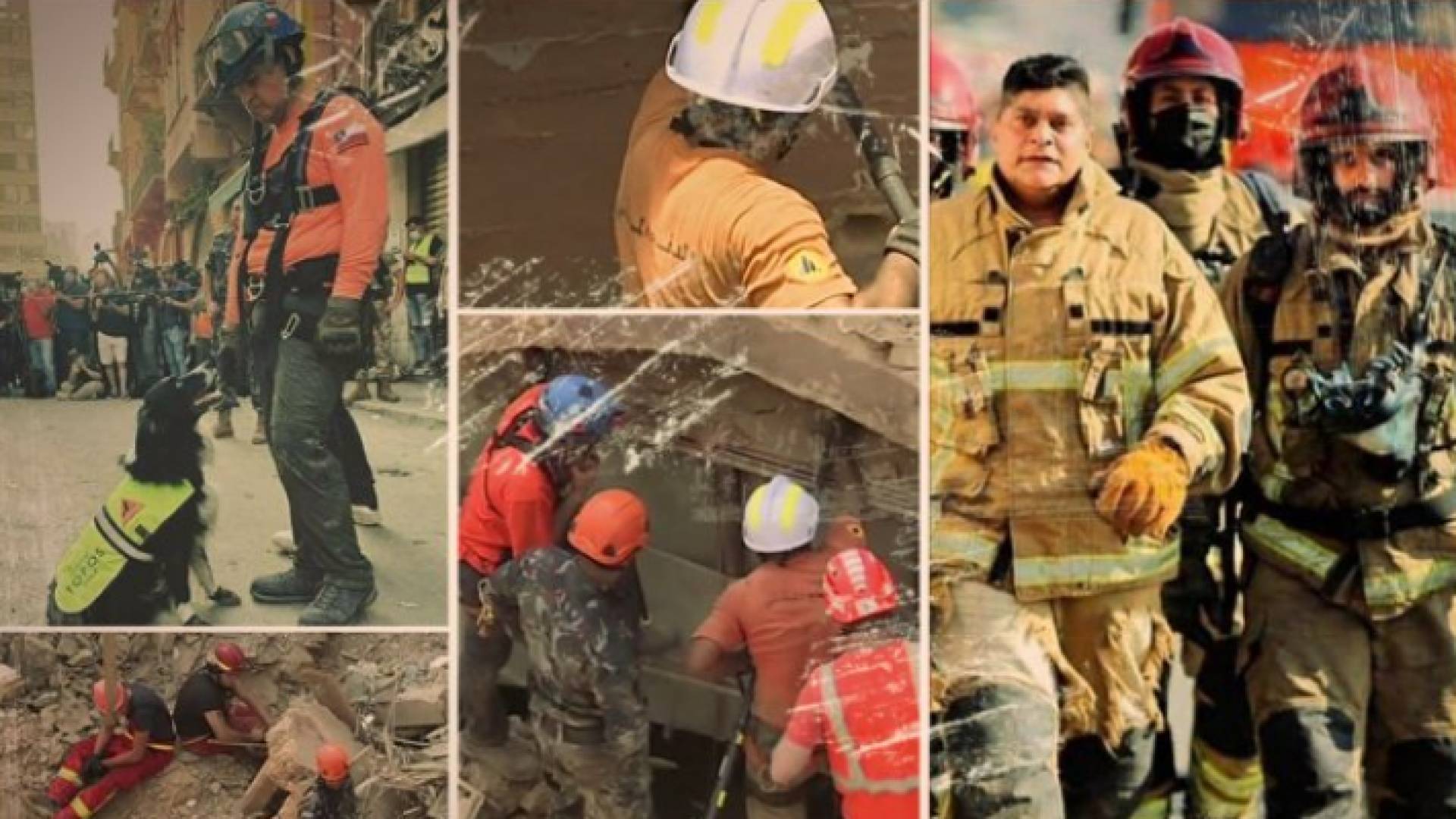 الفريق التشيلي