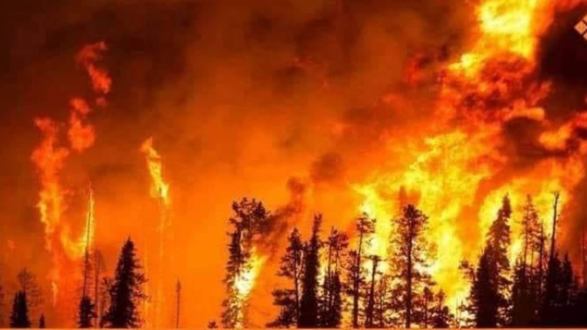 من موقع الحريق