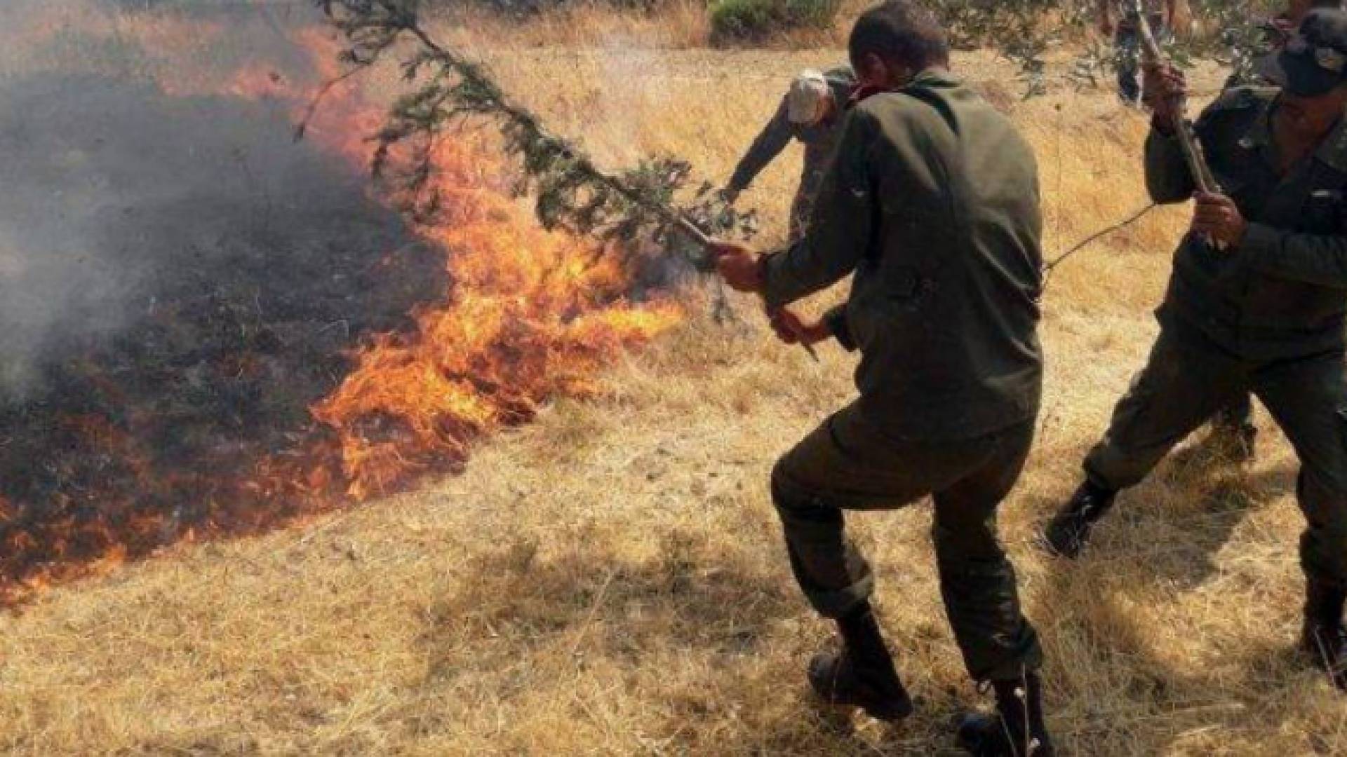 الآلاف يشاركون في إخماد الحرائق