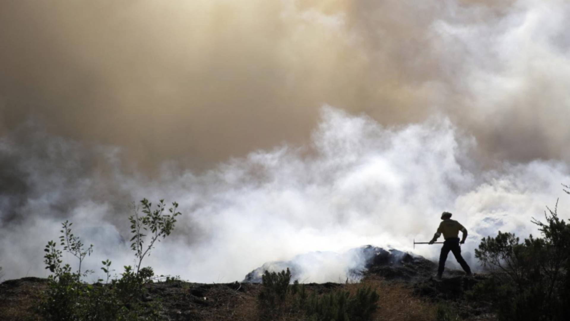 الصورة أرشيفية