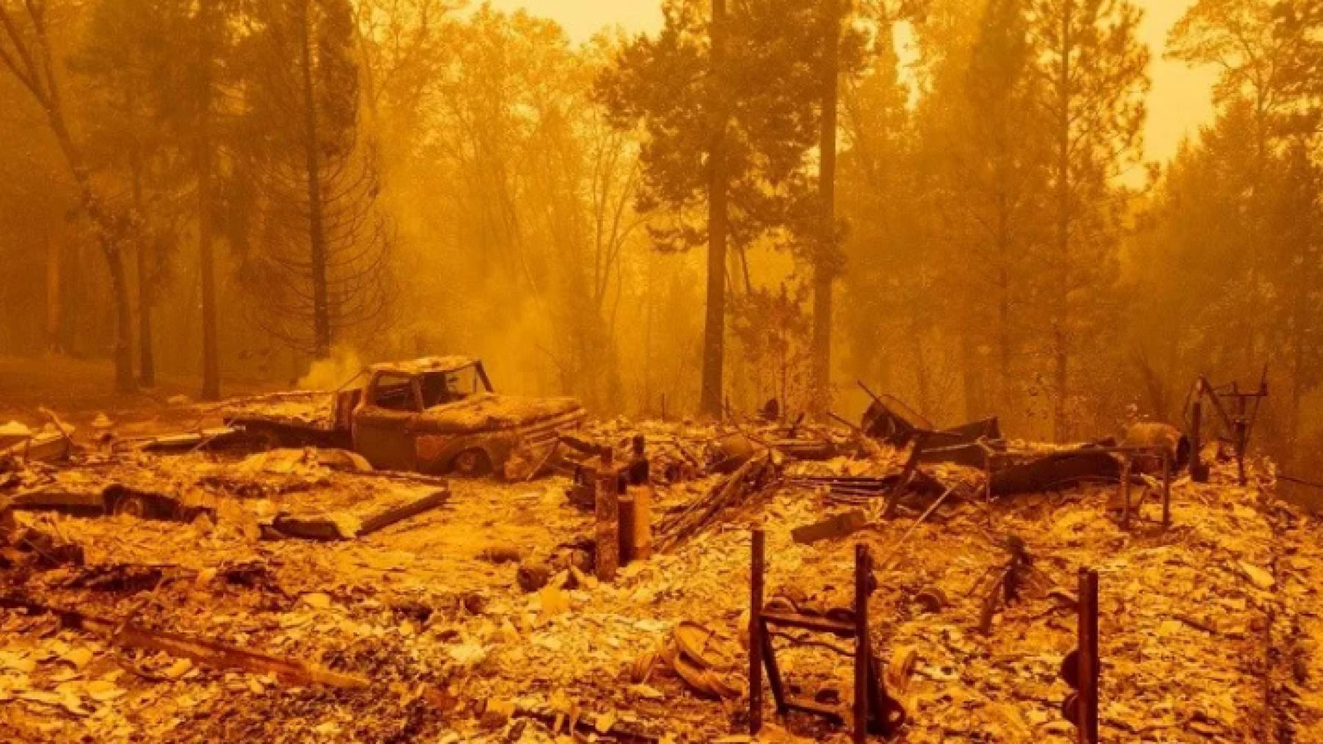 جانب من الحرائق في ولاية أوريغون